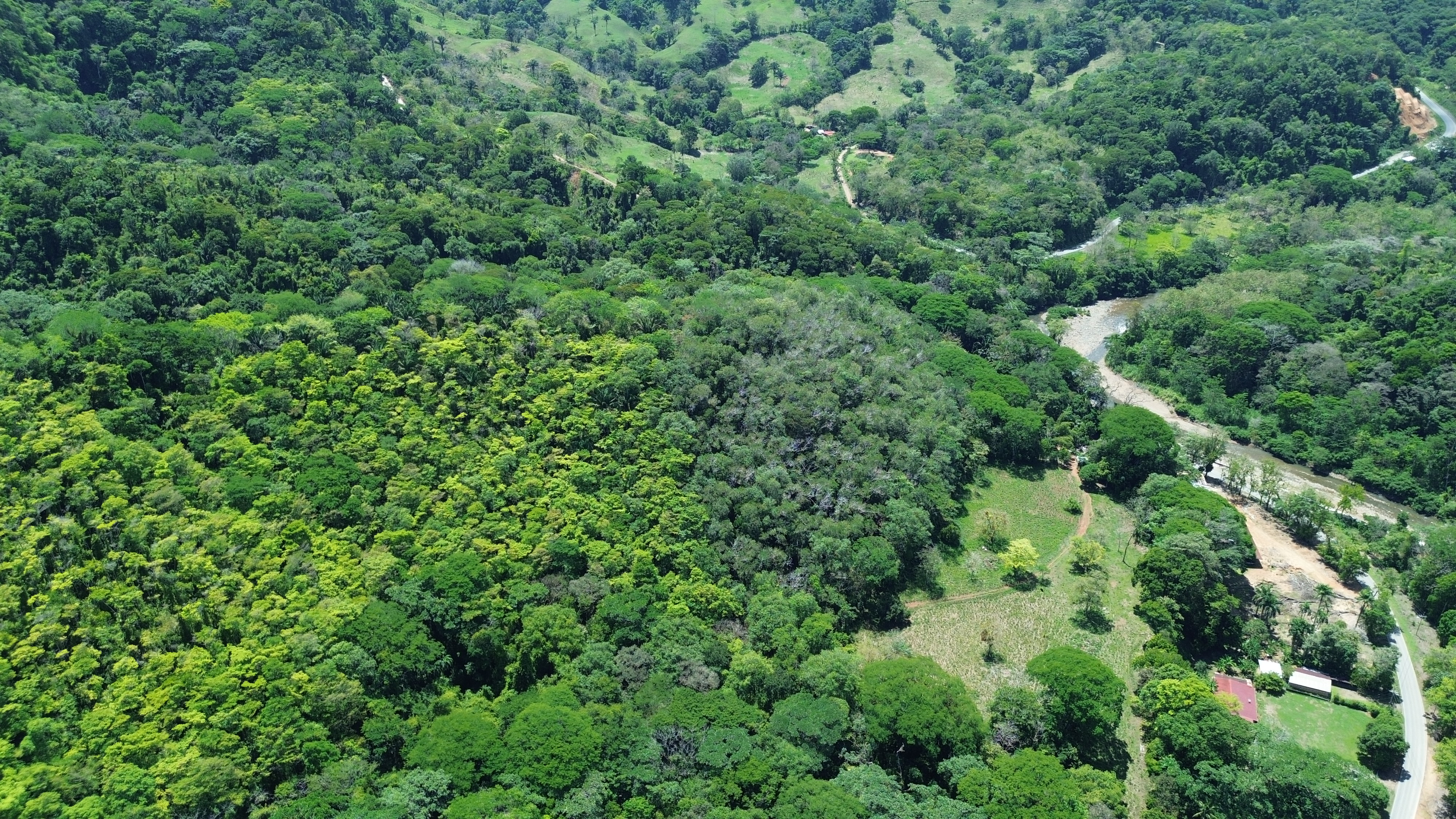 0 bed Land For Sale in Dominical, Puntarenas - thumb 5