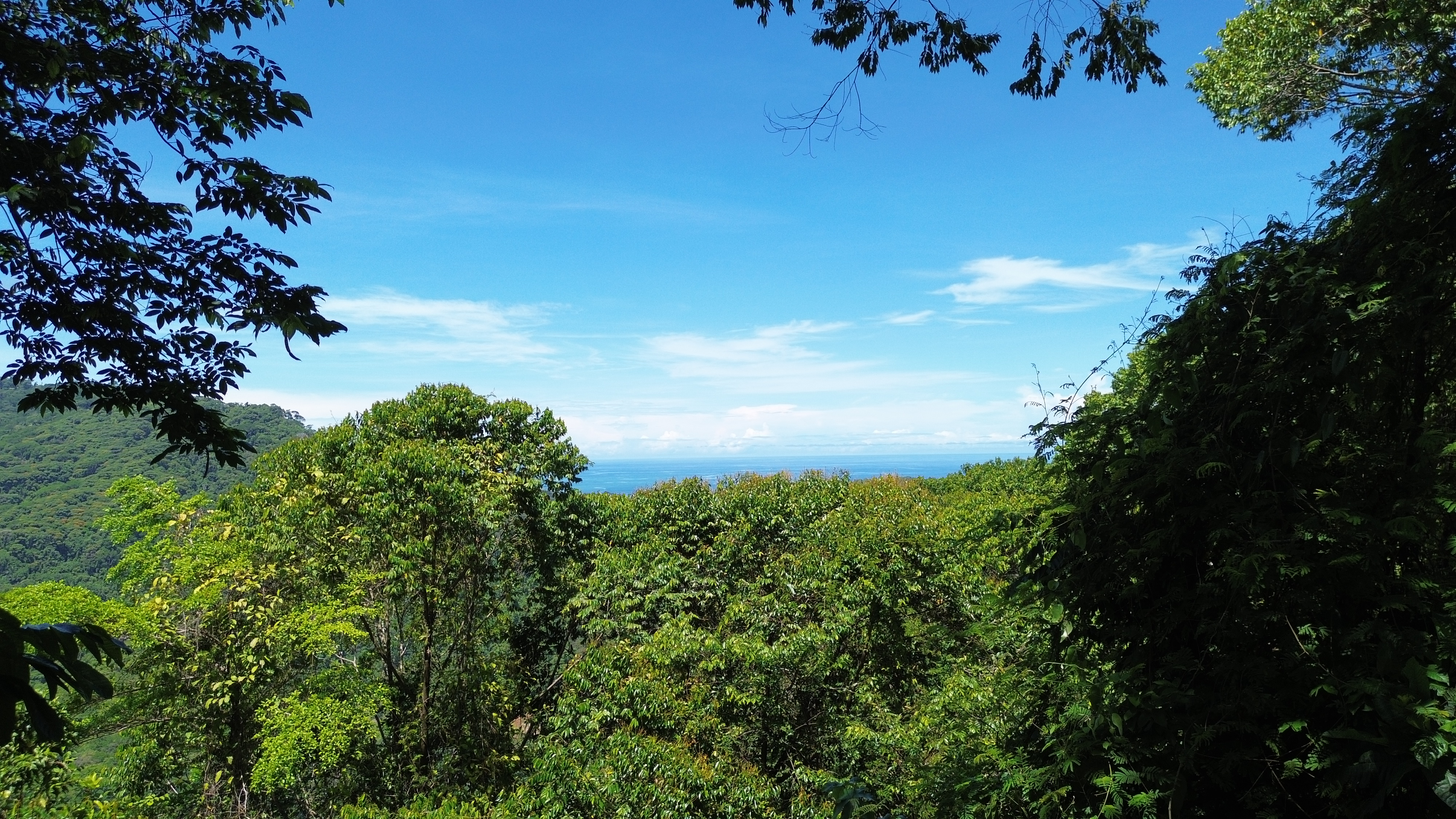 0 bed Land For Sale in Dominical, Puntarenas - thumb 14