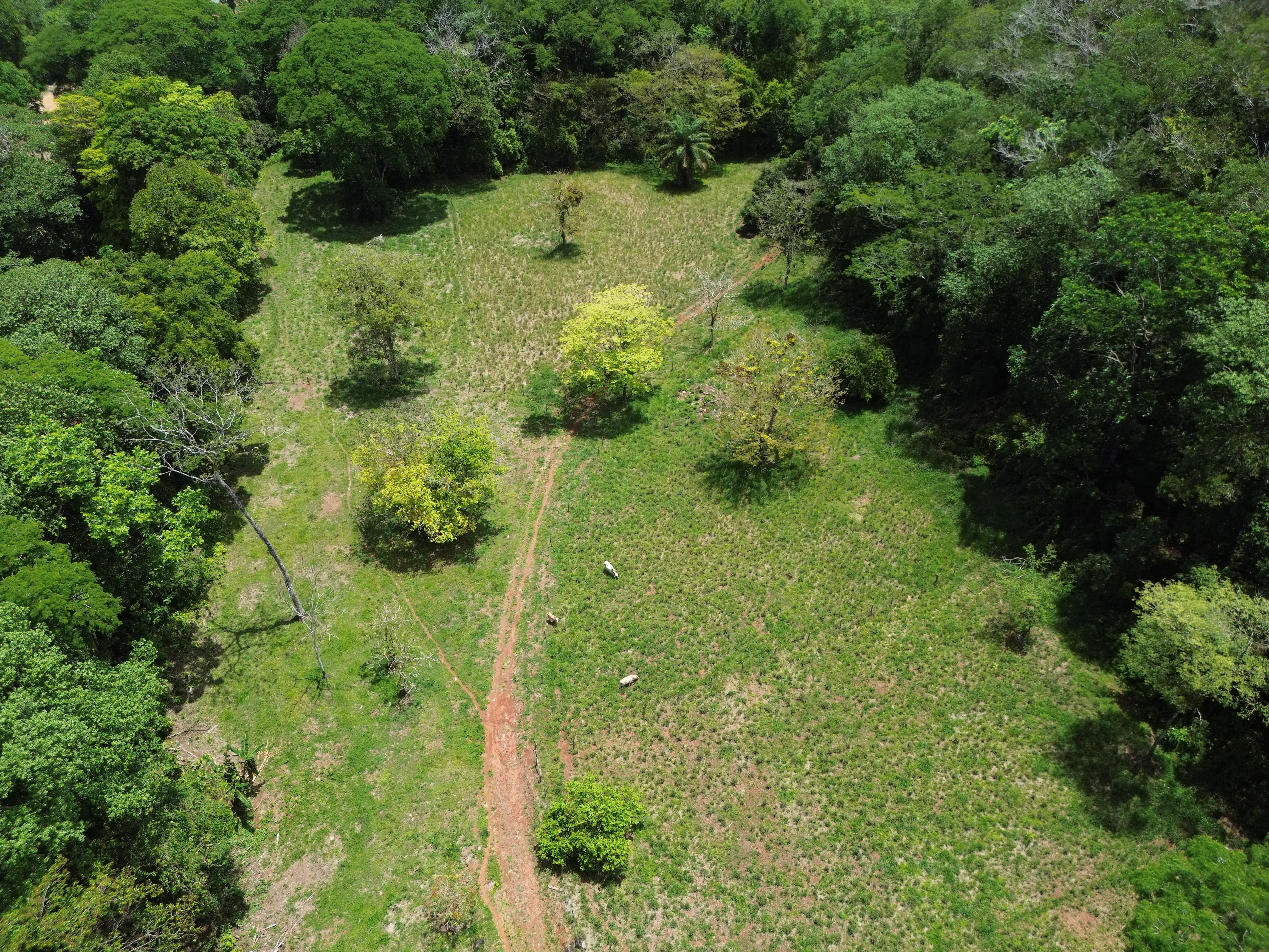 0 bed Land For Sale in Dominical, Puntarenas - thumb 22