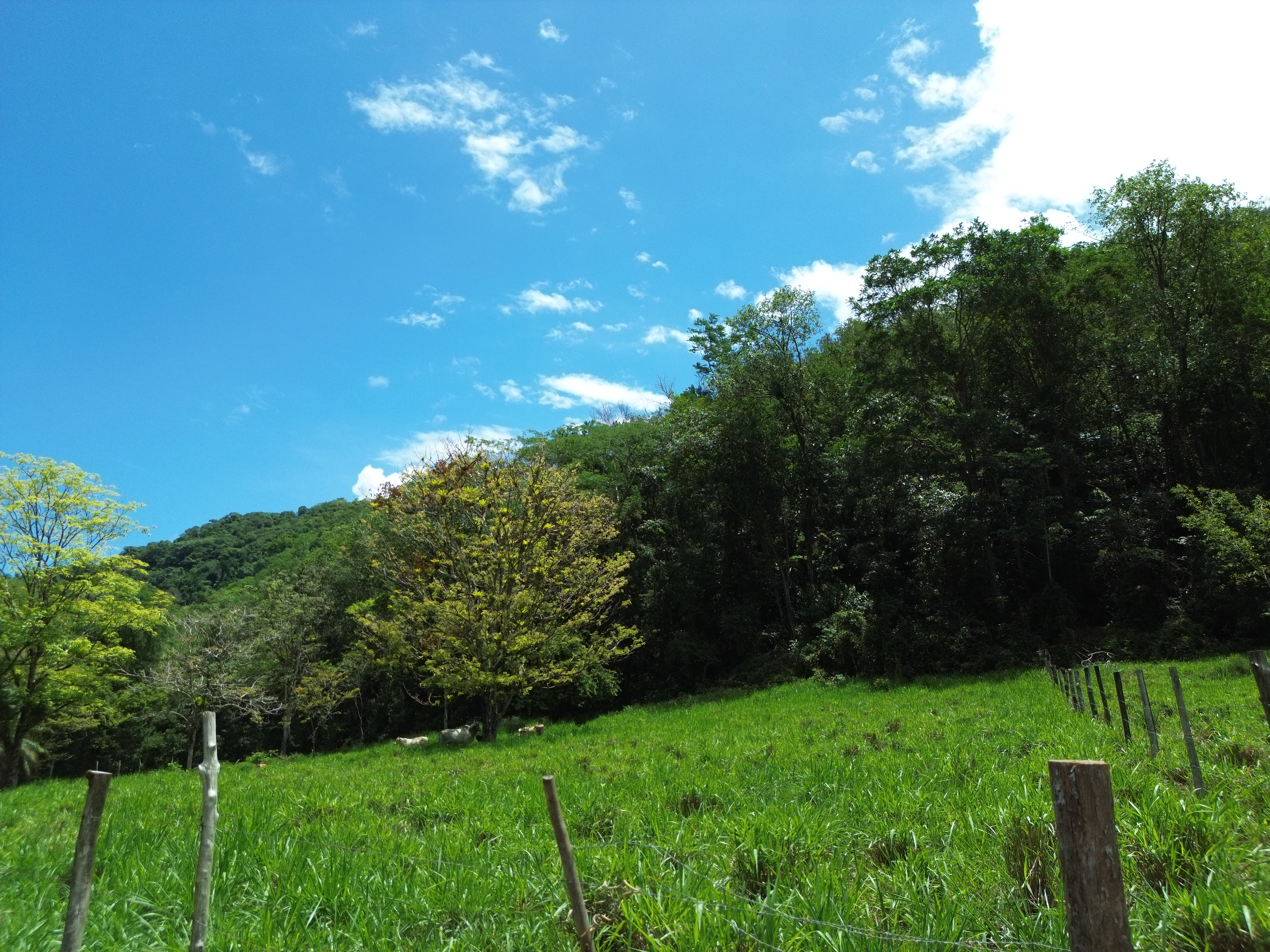 0 bed Land For Sale in Dominical, Puntarenas - thumb 20