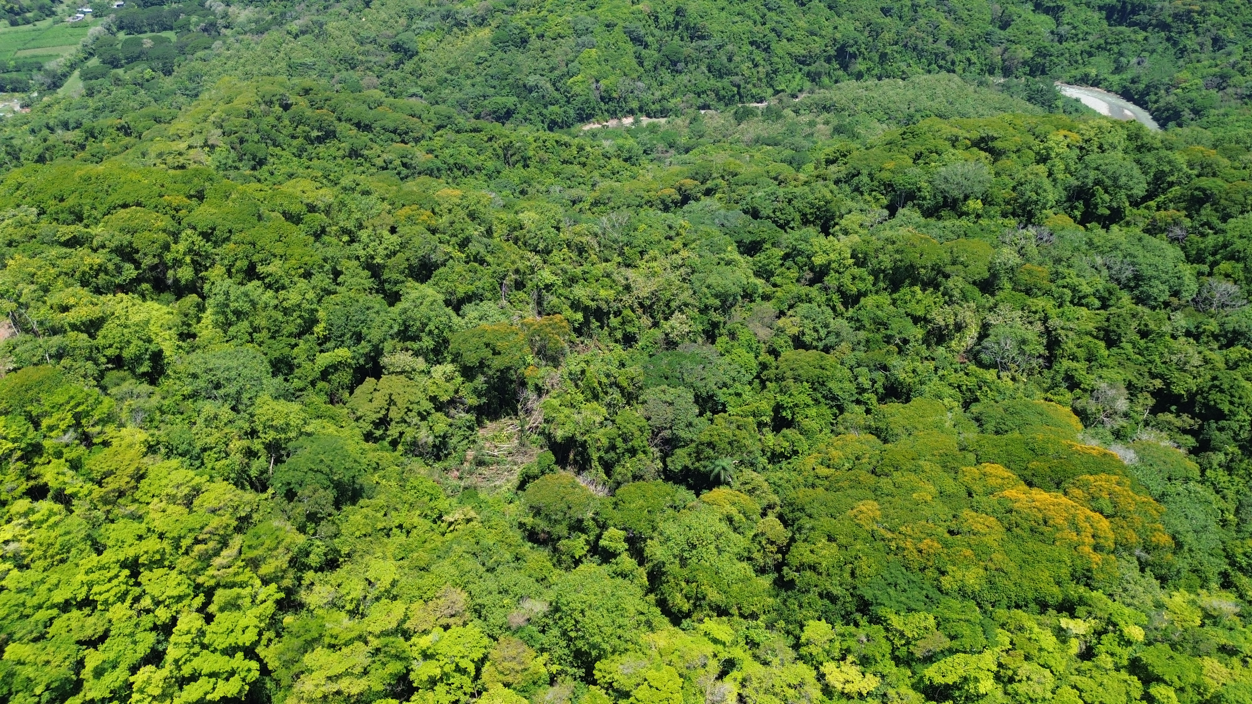 0 bed Land For Sale in Dominical, Puntarenas - thumb 11