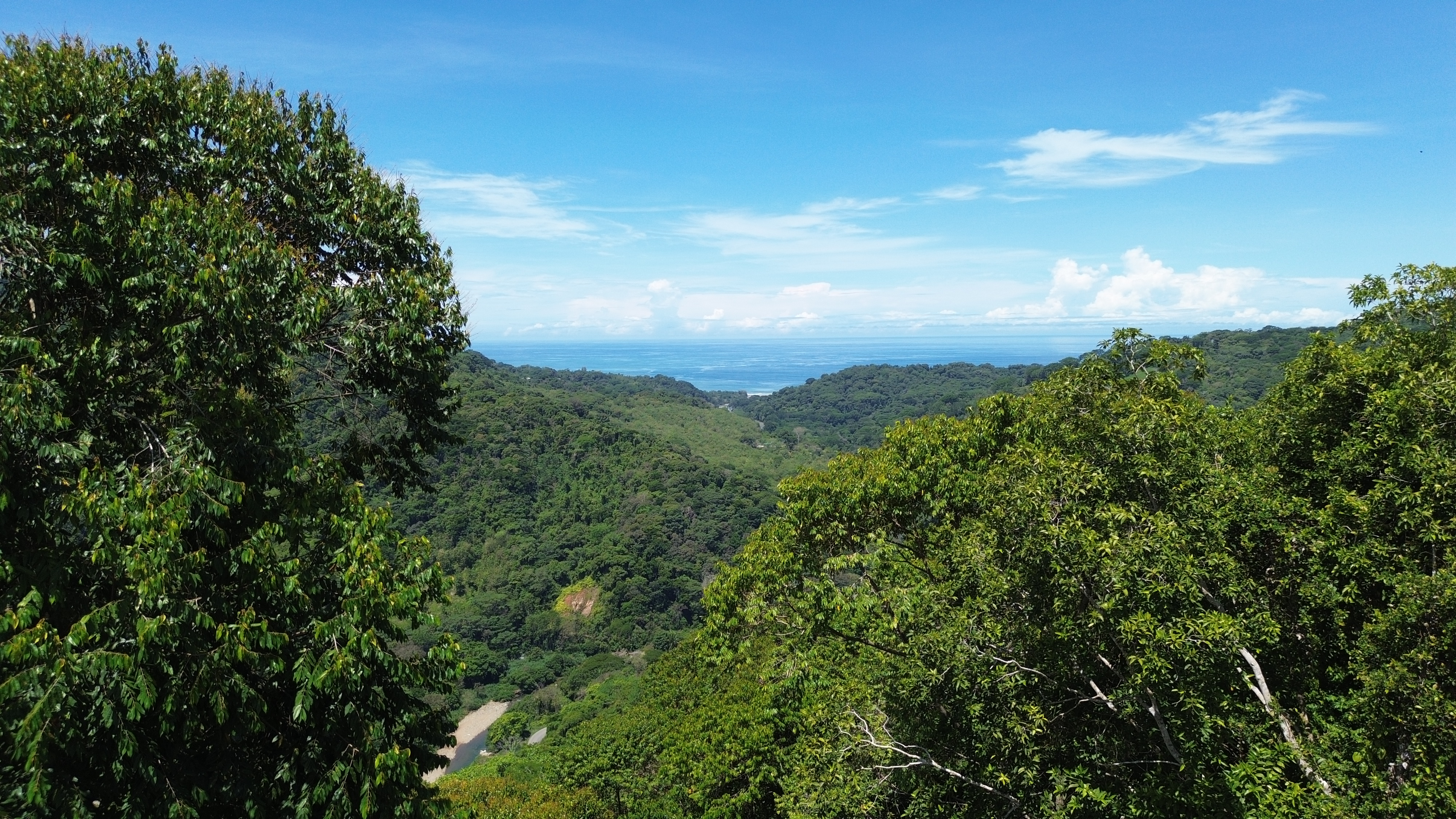 0 bed Land For Sale in Dominical, Puntarenas - thumb 2