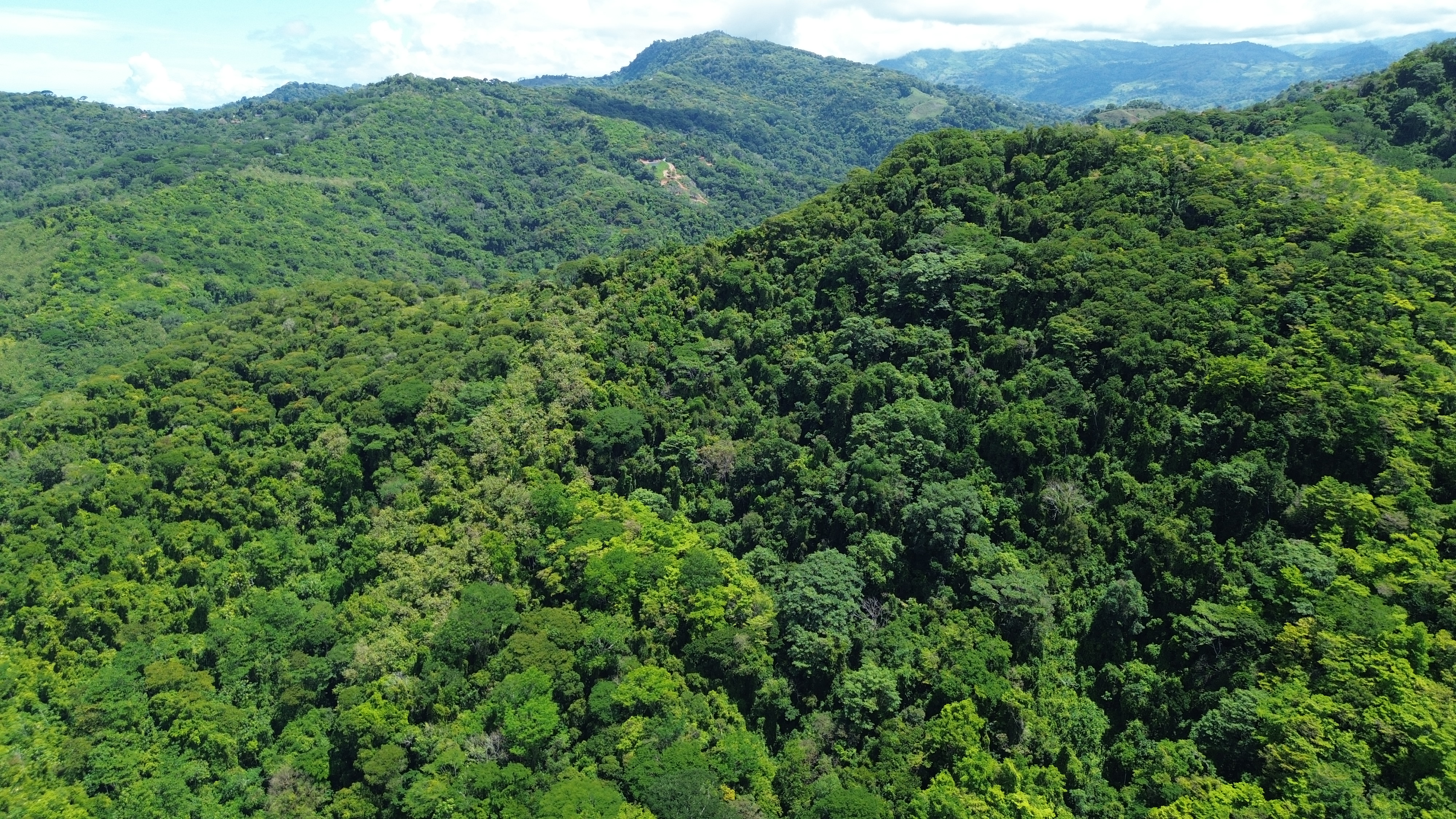 0 bed Land For Sale in Dominical, Puntarenas - thumb 7