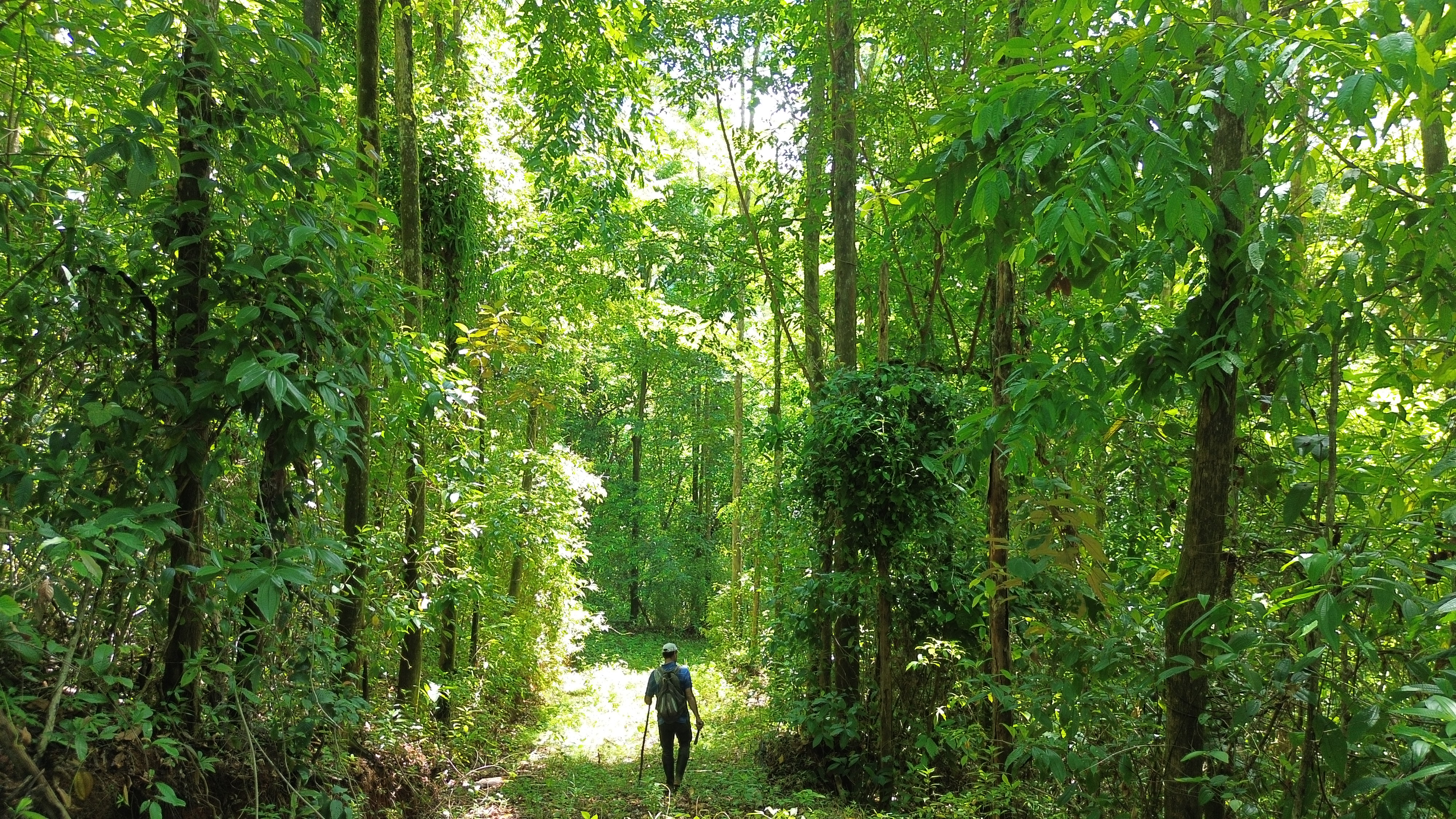 0 bed Land For Sale in Dominical, Puntarenas - thumb 18