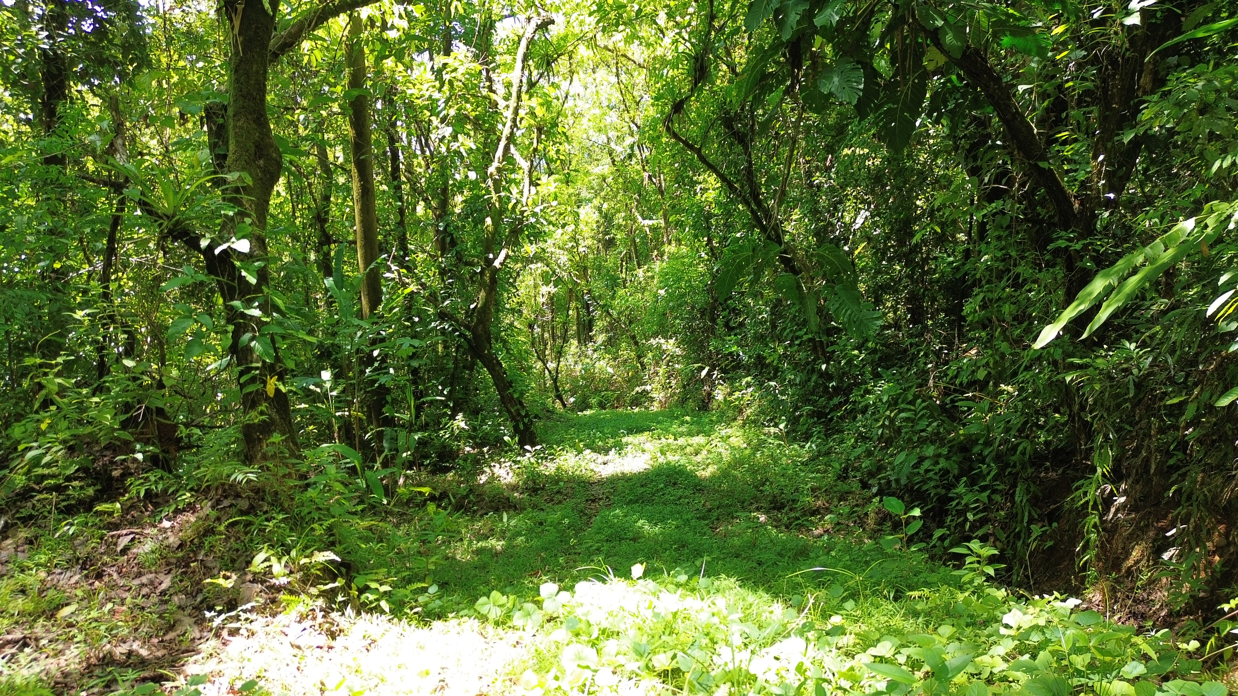 0 bed Land For Sale in Dominical, Puntarenas - thumb 1