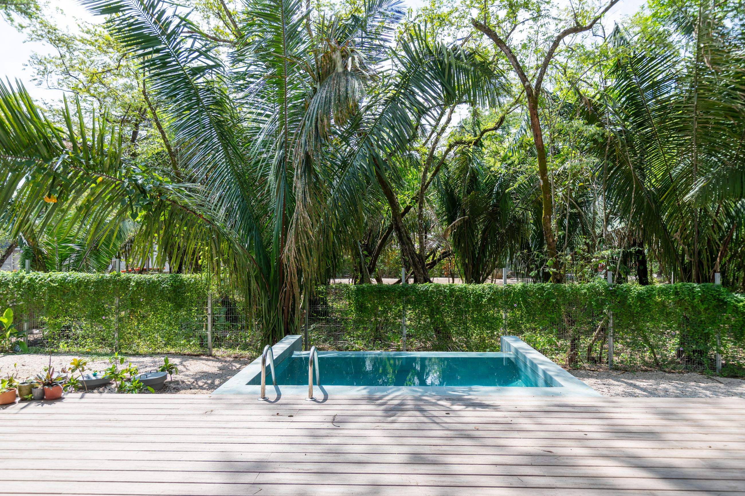 4 bed Single Family Homes For Sale in Nosara, Guanacaste - thumb 7