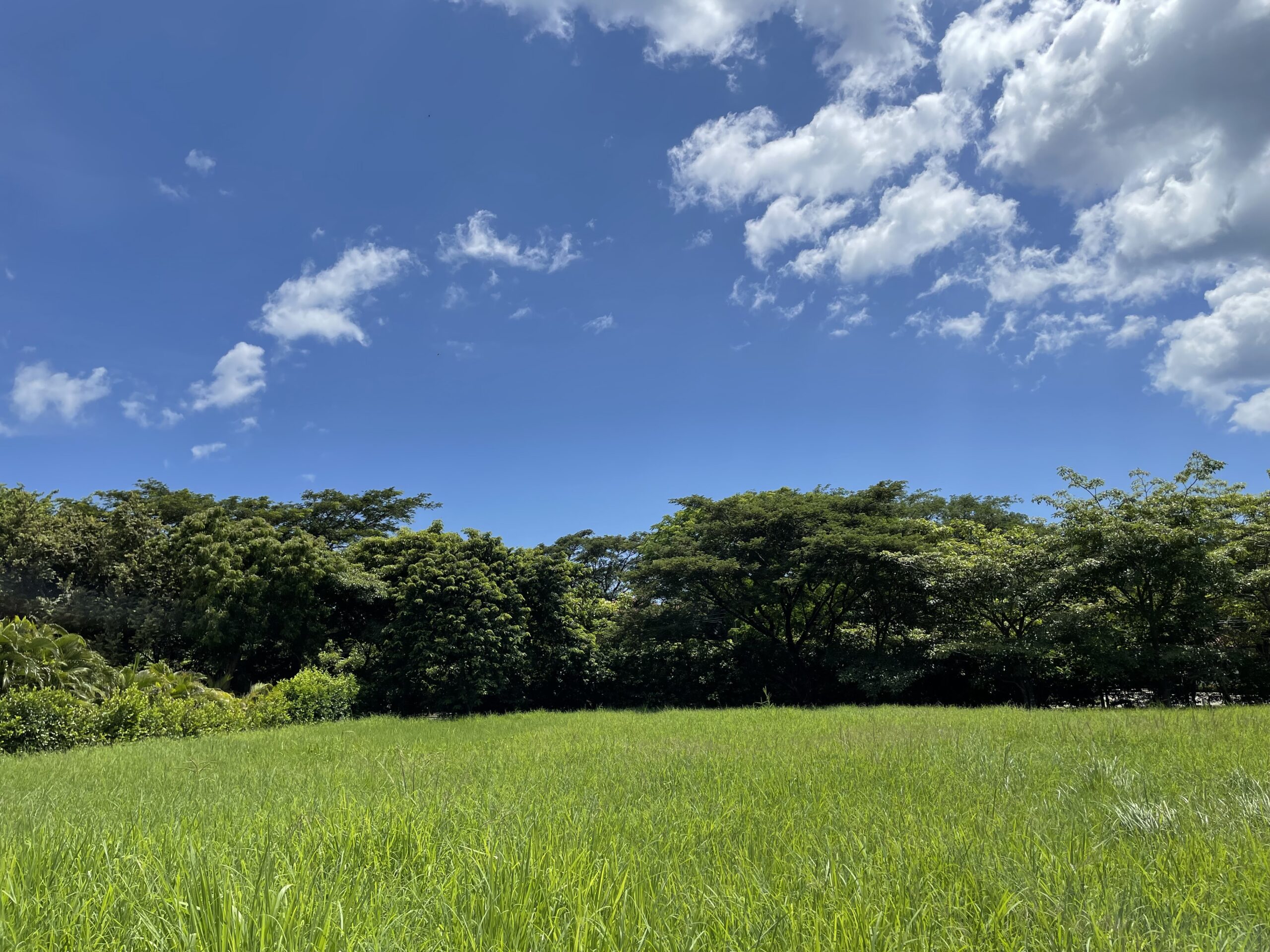 0 bed Land For Sale in Hacienda Pinilla, Guanacaste - thumb 5
