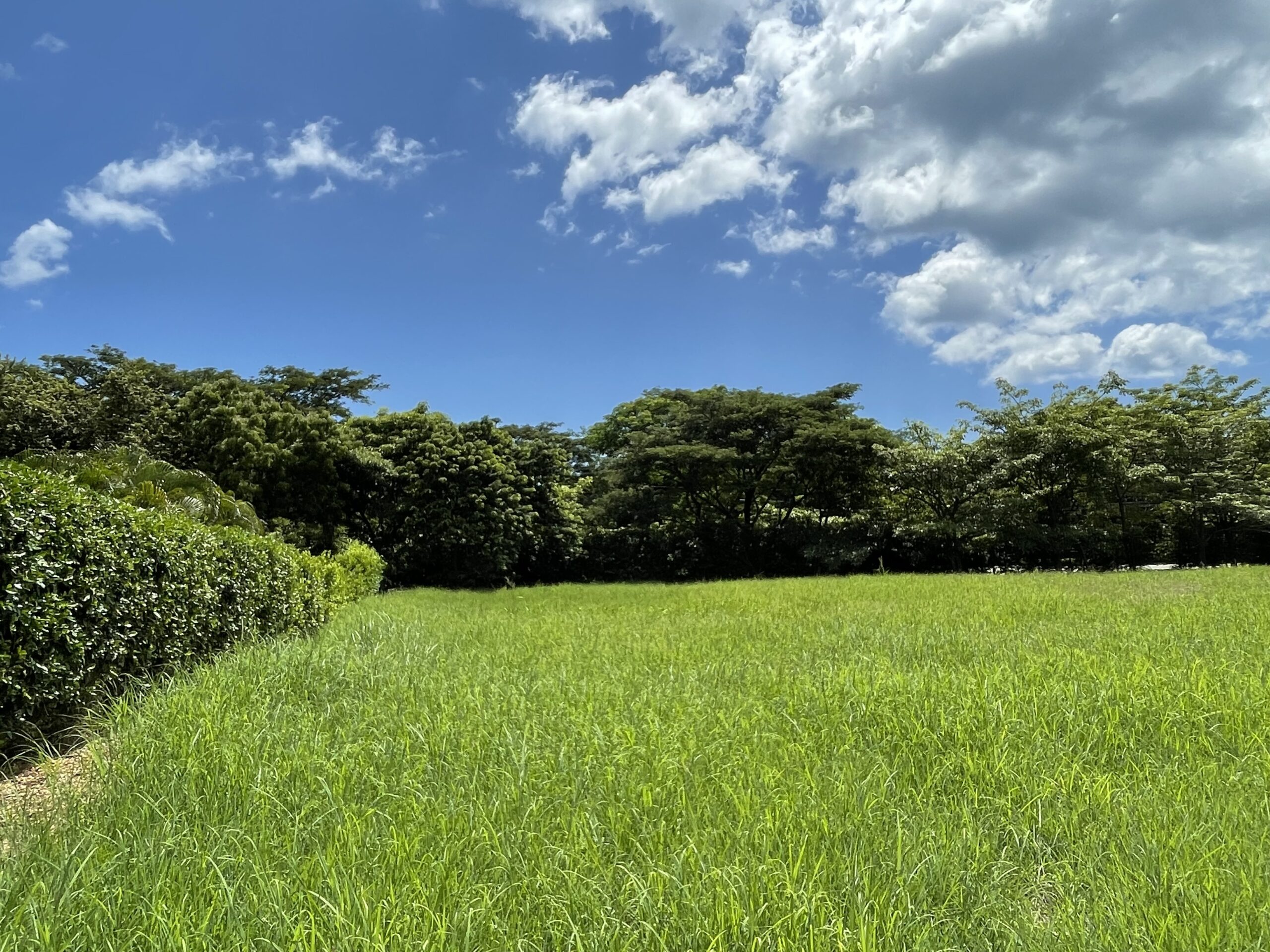 0 bed Land For Sale in Hacienda Pinilla, Guanacaste - thumb 6