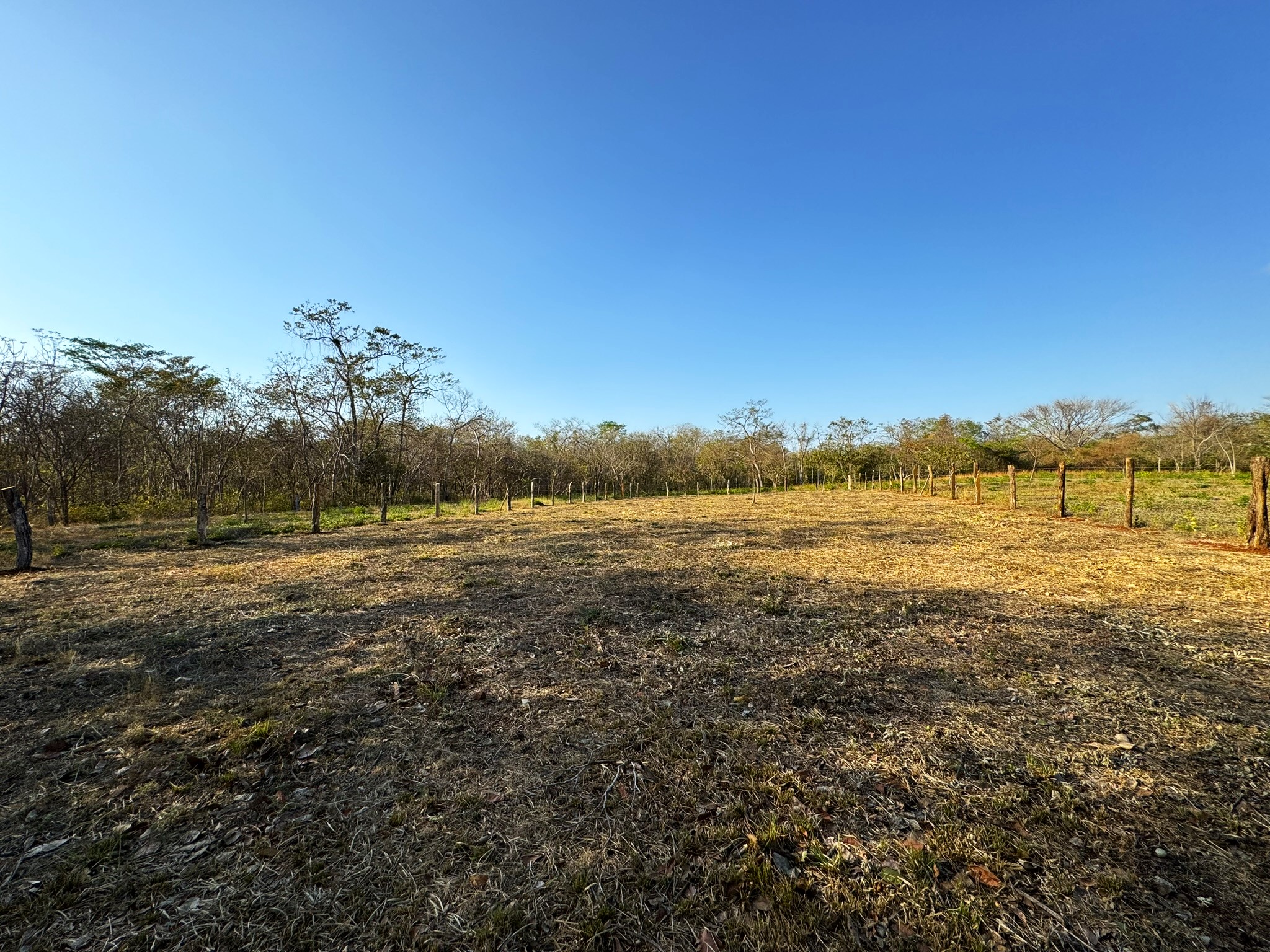 0 bed Land For Sale in Avellanas, Guanacaste - thumb 2