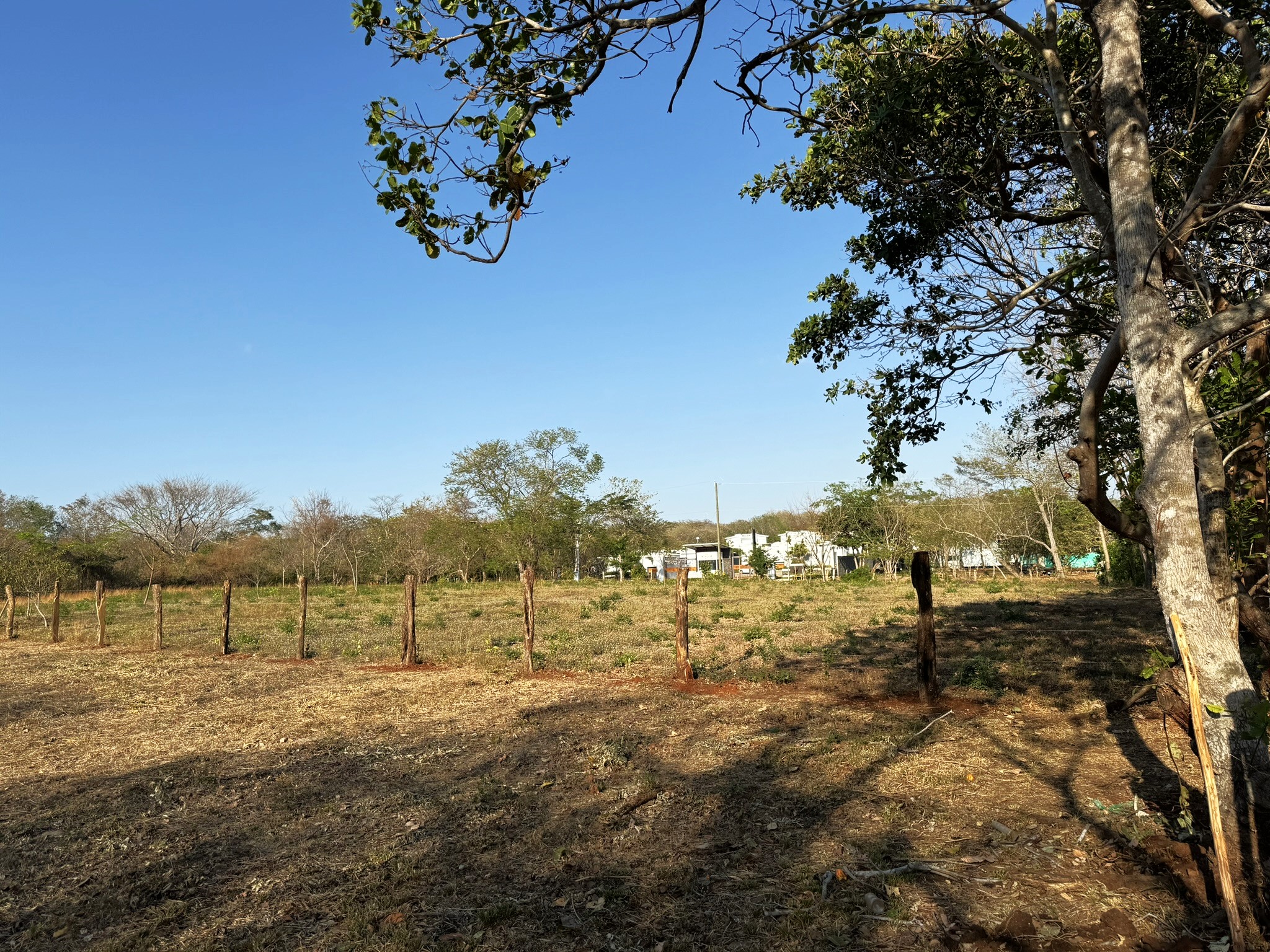 0 bed Land For Sale in Avellanas, Guanacaste - thumb 1