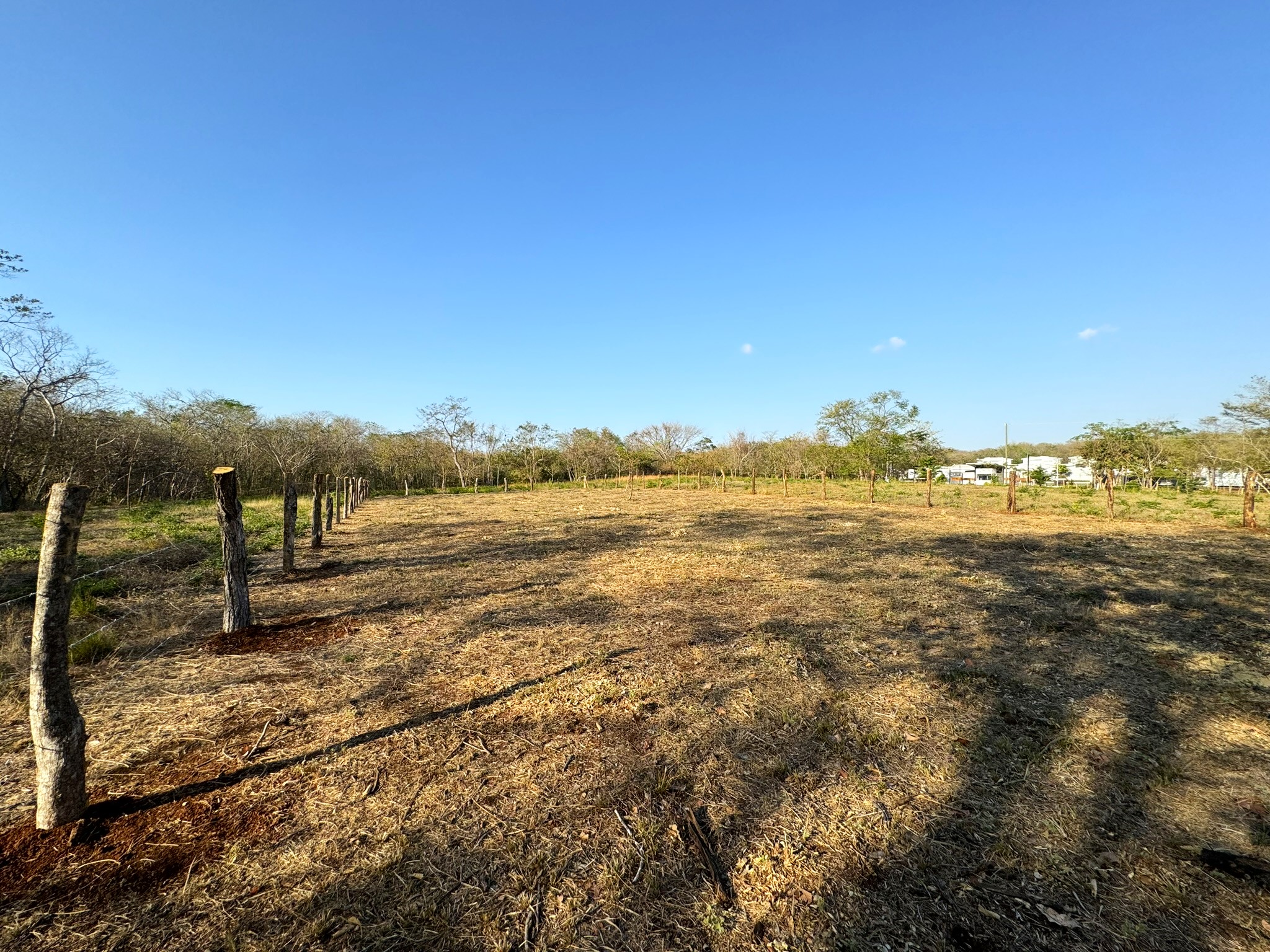0 bed Land For Sale in Avellanas, Guanacaste - thumb 3