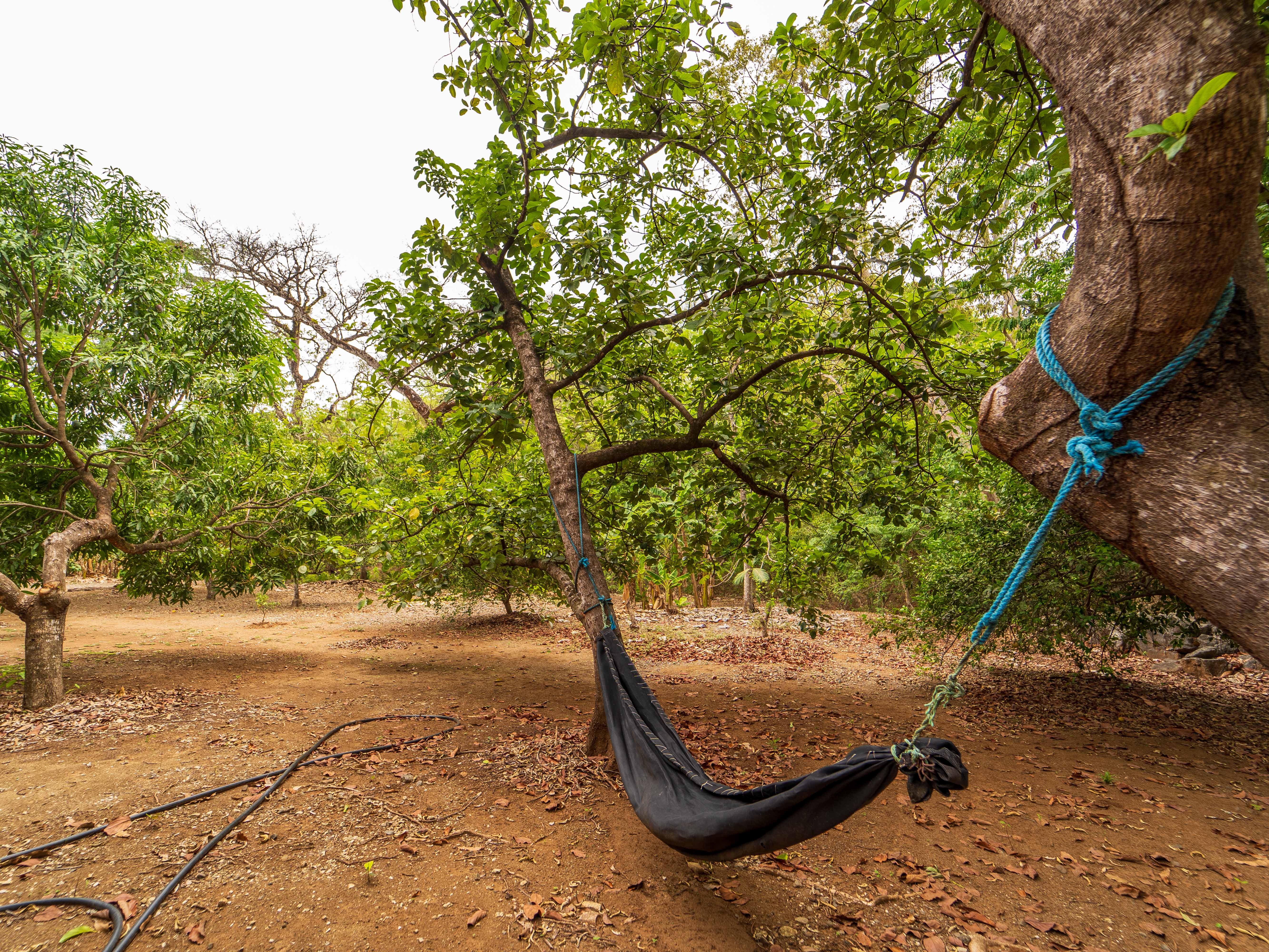 2 bed Single Family Homes For Sale in Samara, Guanacaste - thumb 25