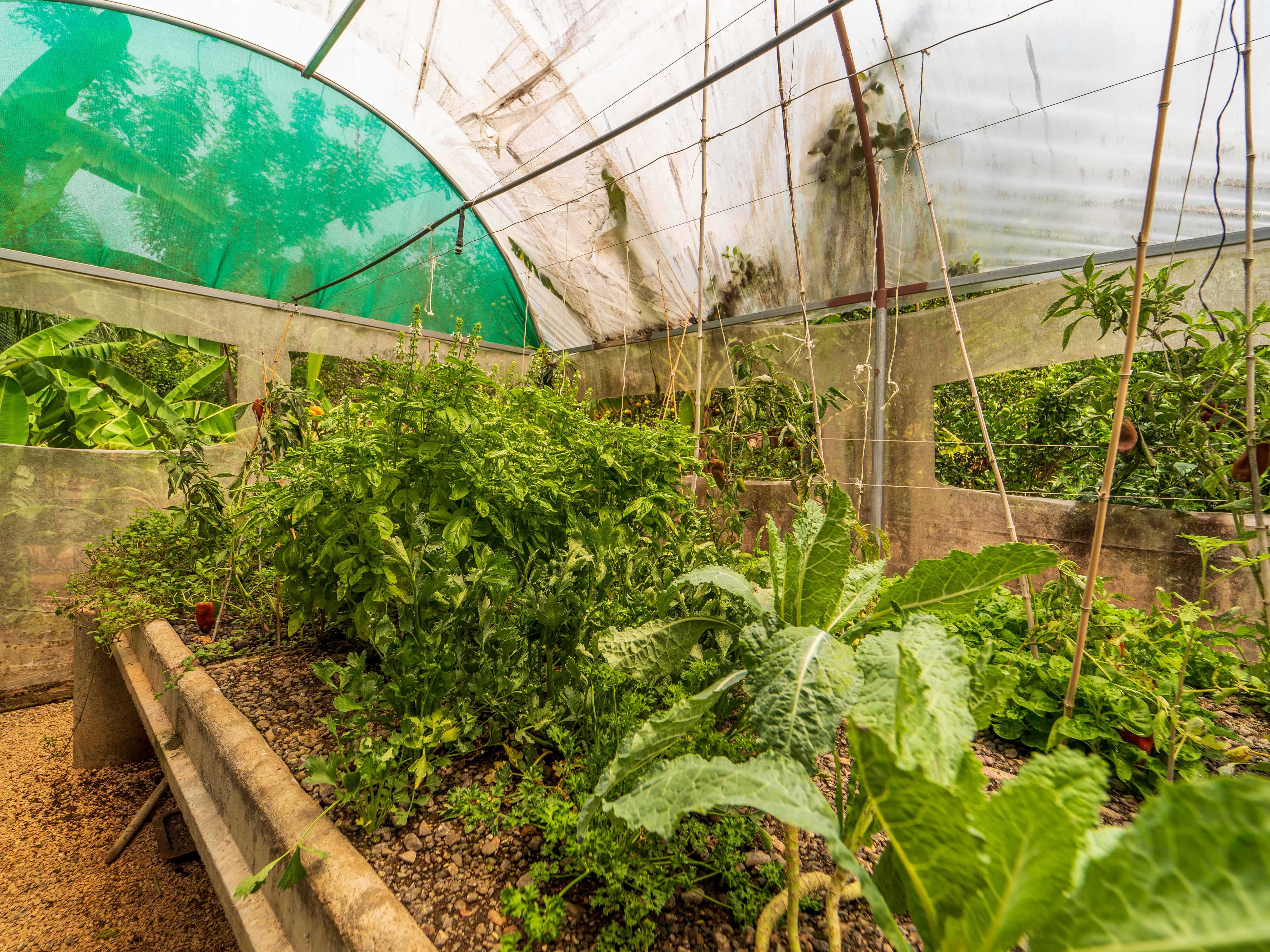 2 bed Single Family Homes For Sale in Samara, Guanacaste - thumb 9