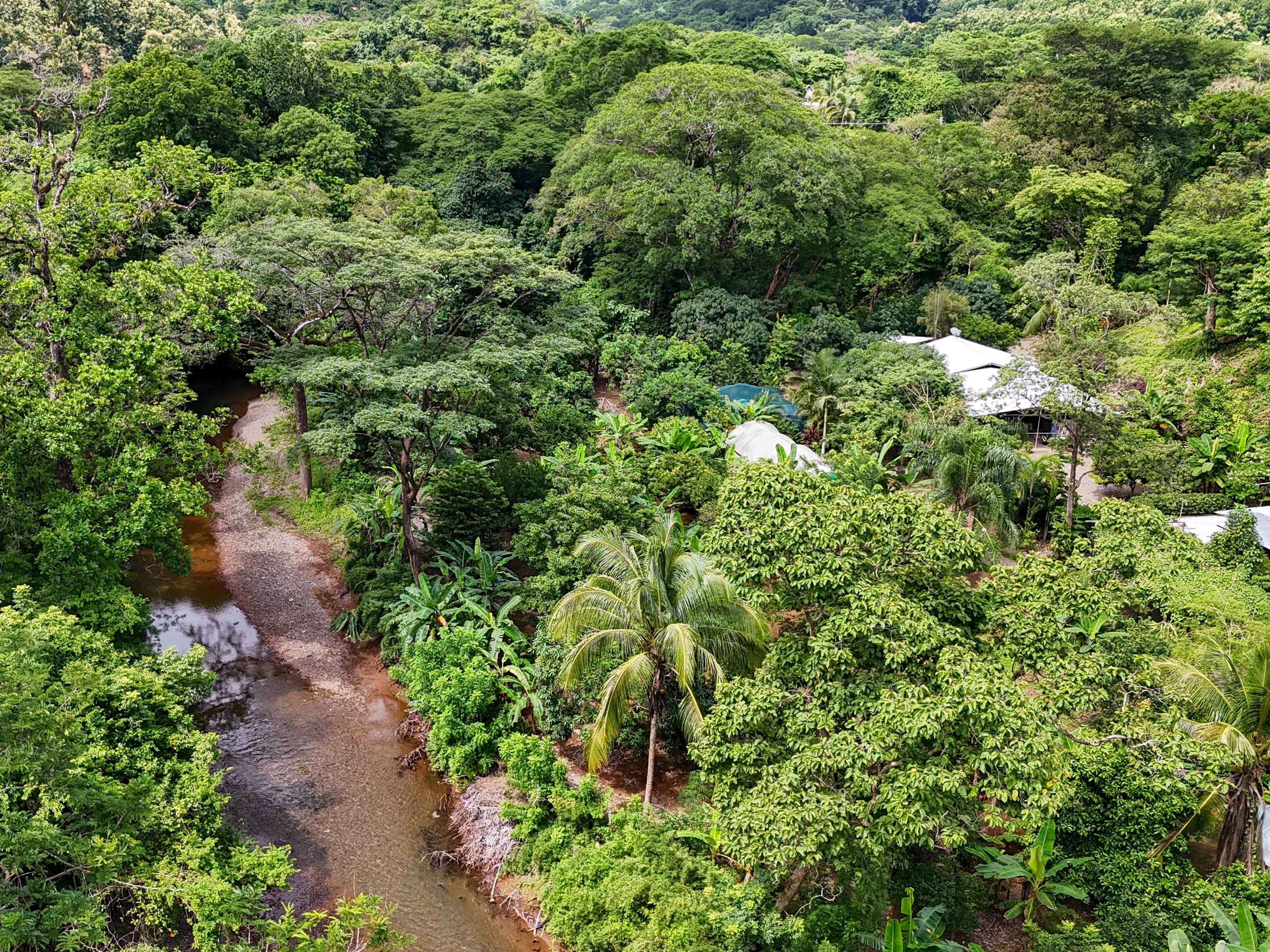 2 bed Single Family Homes For Sale in Samara, Guanacaste - thumb 5