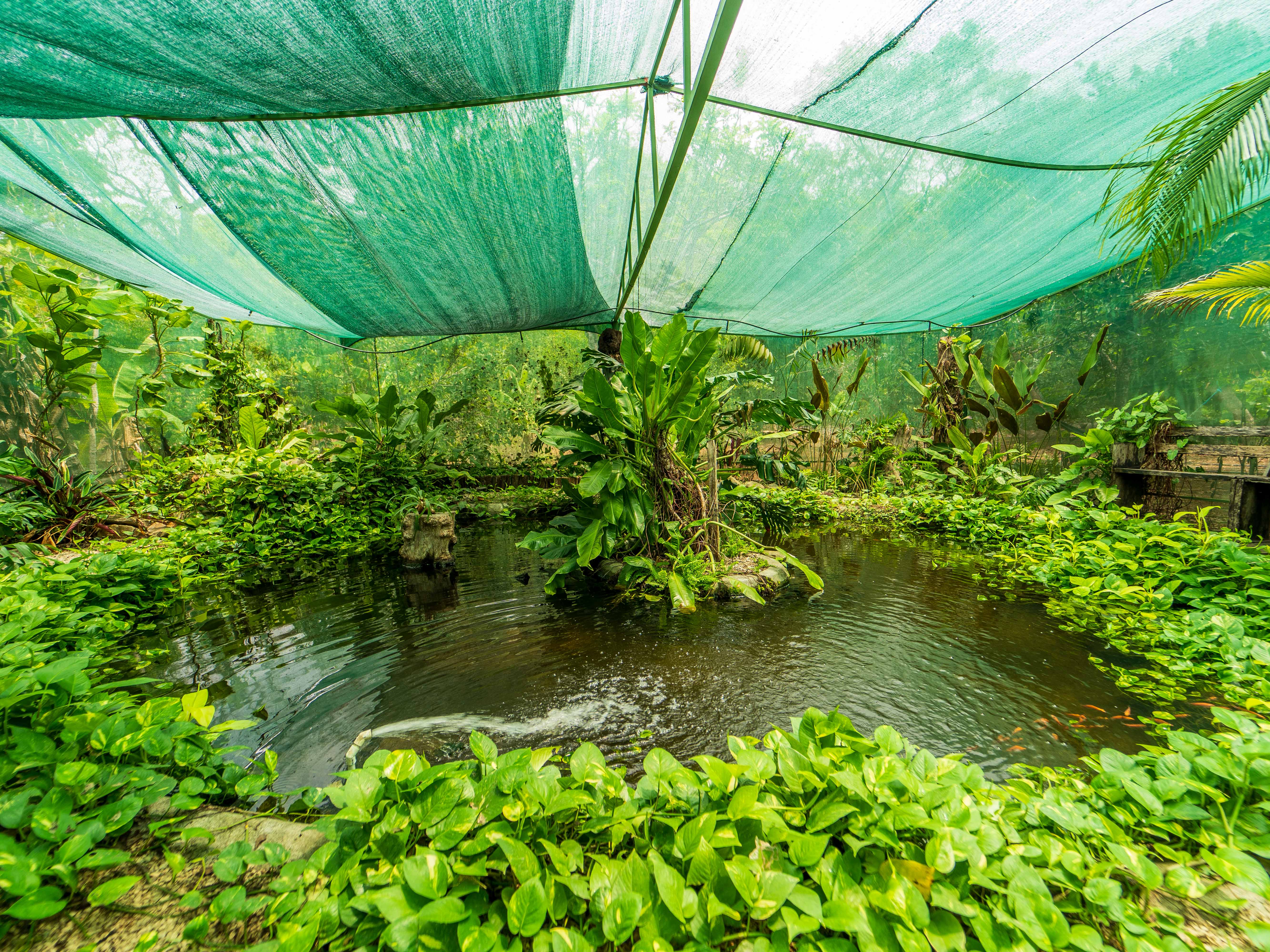 2 bed Single Family Homes For Sale in Samara, Guanacaste - thumb 11