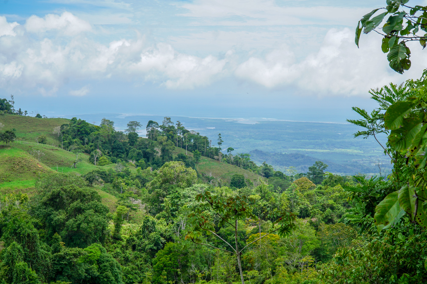 0 bed Communities For Sale in Ciudad Cortes, Puntarenas - thumb 21