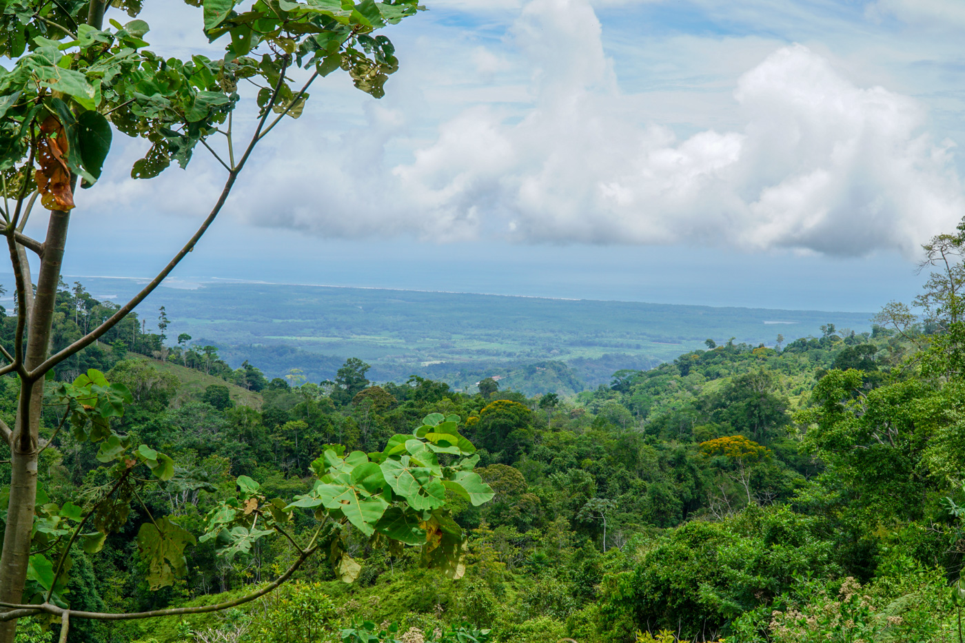 0 bed Communities For Sale in Ciudad Cortes, Puntarenas - thumb 20