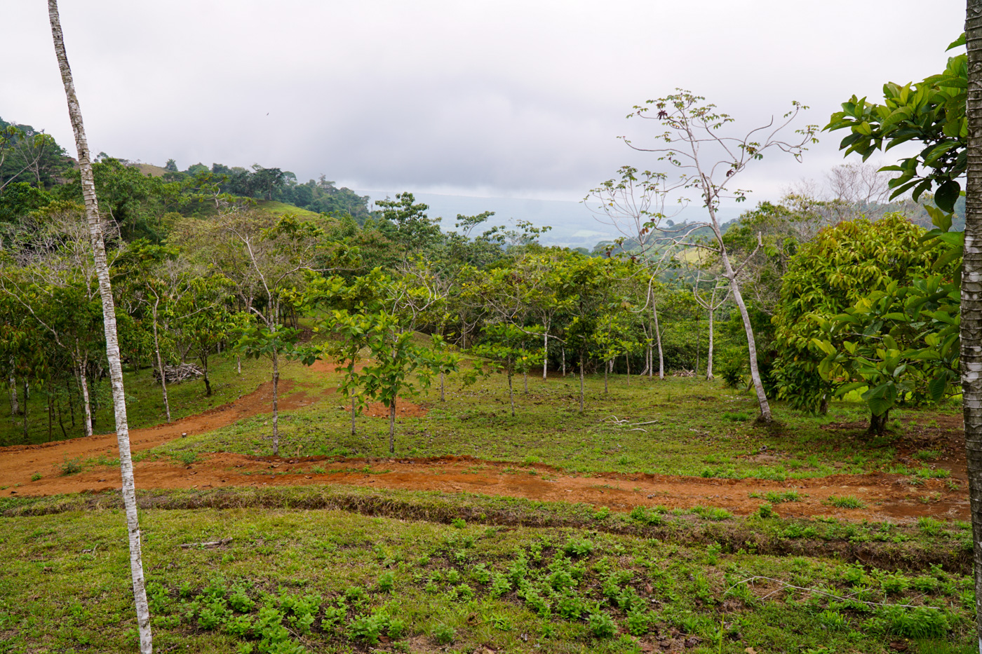 0 bed Communities For Sale in Ciudad Cortes, Puntarenas - thumb 28