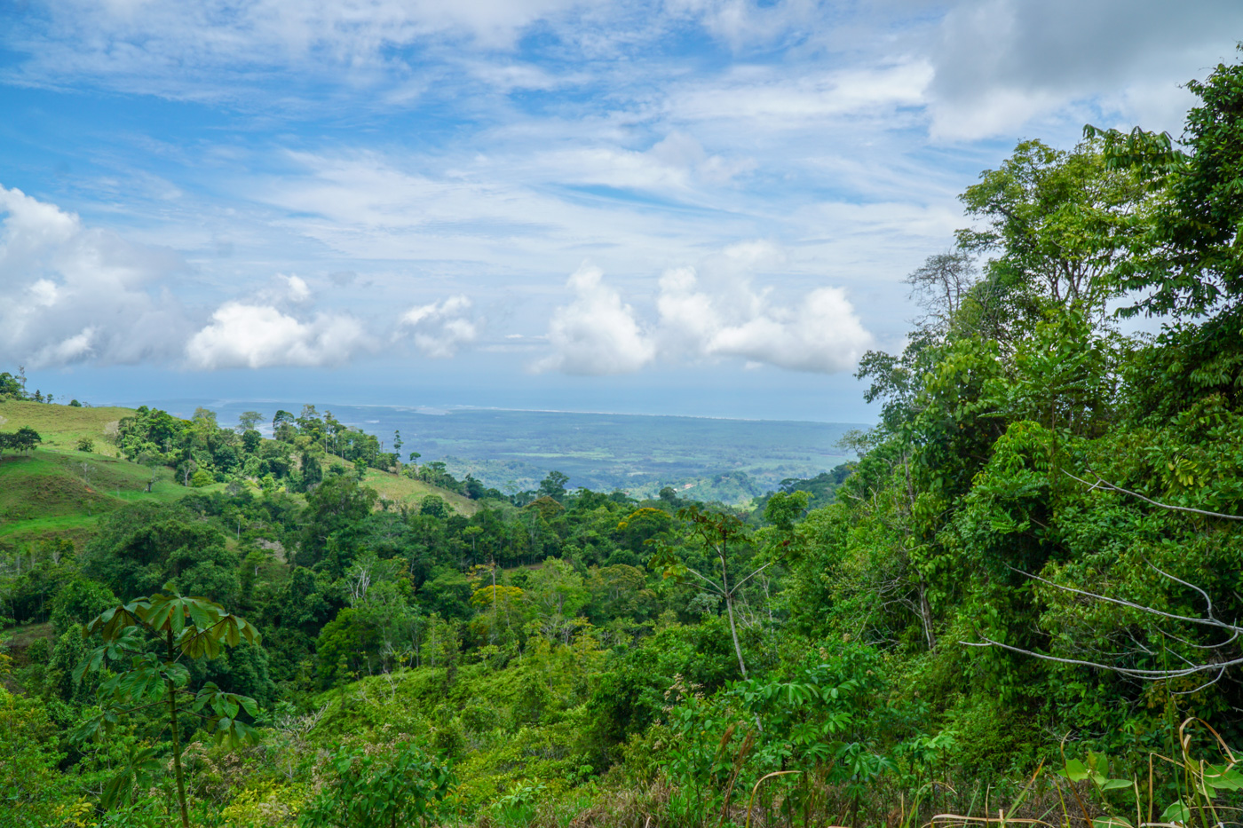 0 bed Communities For Sale in Ciudad Cortes, Puntarenas - thumb 16