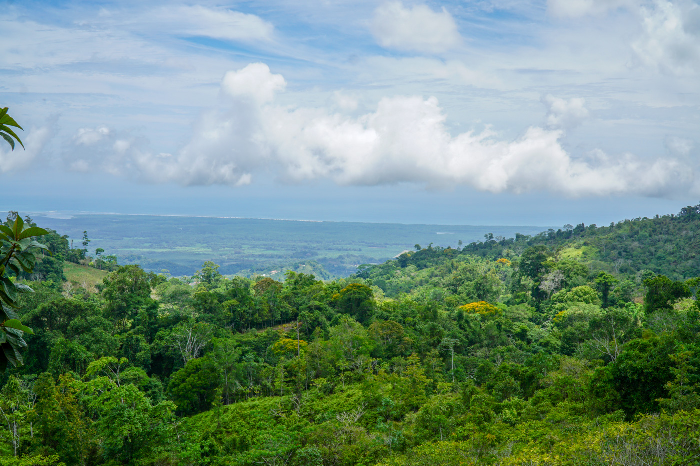 0 bed Communities For Sale in Ciudad Cortes, Puntarenas - thumb 18