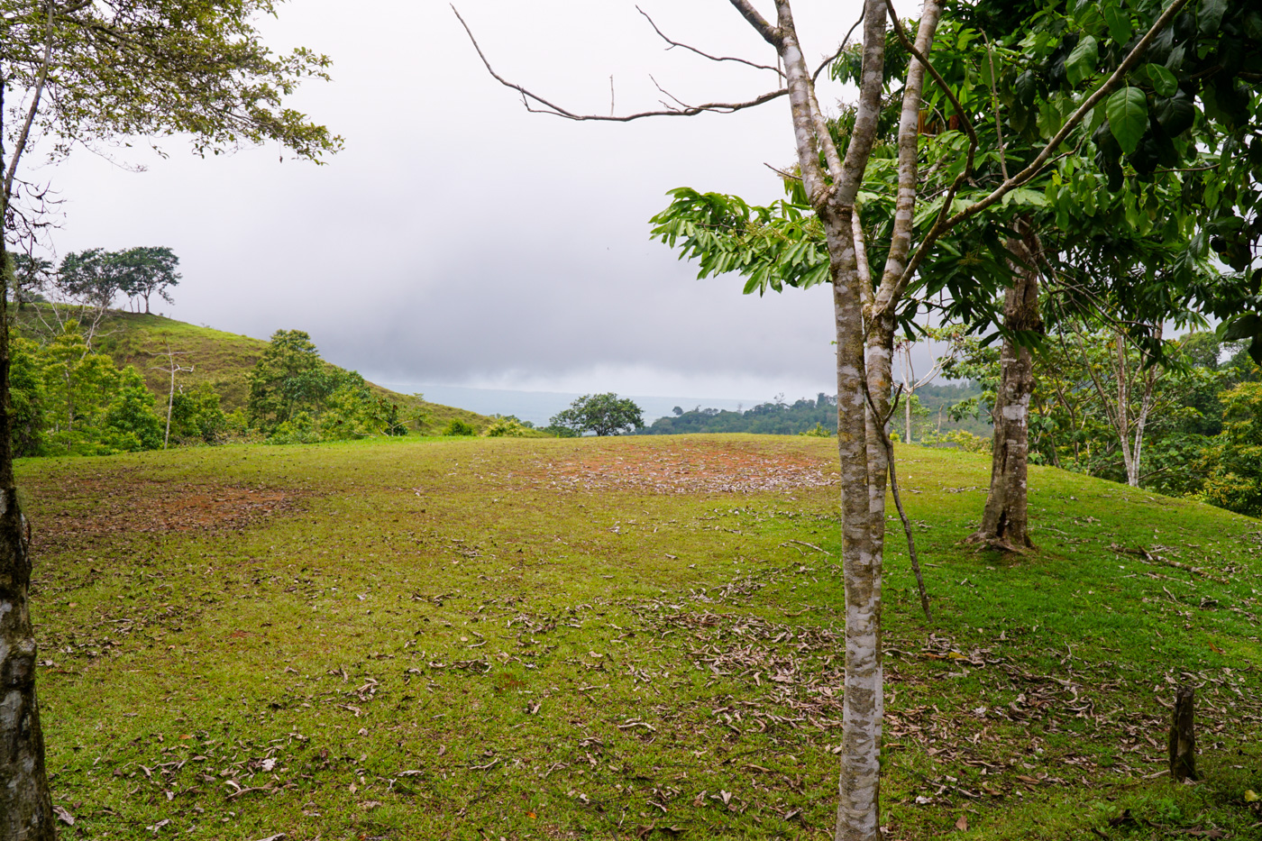 0 bed Communities For Sale in Ciudad Cortes, Puntarenas - thumb 29