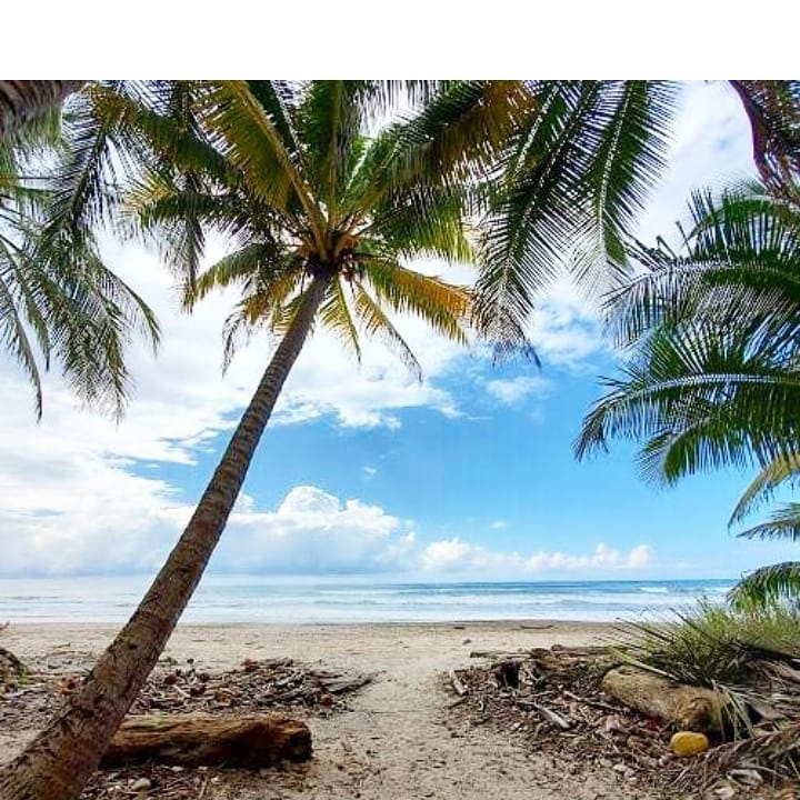 10 bed Hotel / Leisure For Sale in Playa Hermosa Santa Teresa, Puntarenas - thumb 1