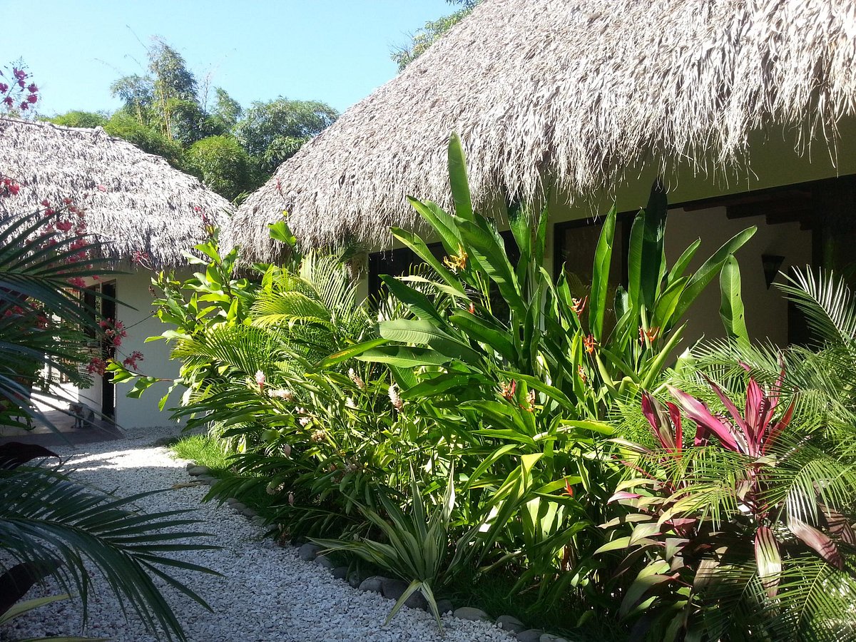 10 bed Hotel / Leisure For Sale in Playa Hermosa Santa Teresa, Puntarenas - thumb 5