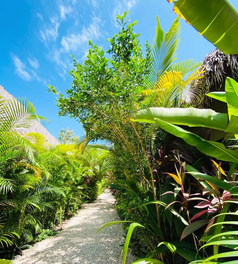 10 bed Hotel / Leisure For Sale in Playa Hermosa Santa Teresa, Puntarenas - thumb 6