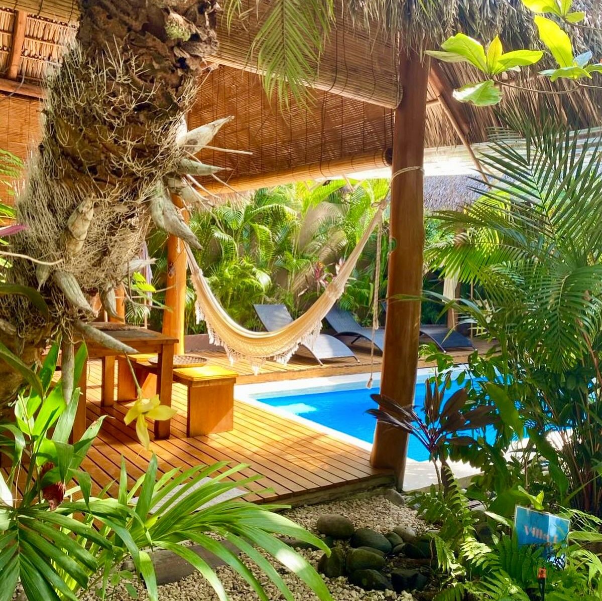 10 bed Hotel / Leisure For Sale in Playa Hermosa Santa Teresa, Puntarenas - thumb 3