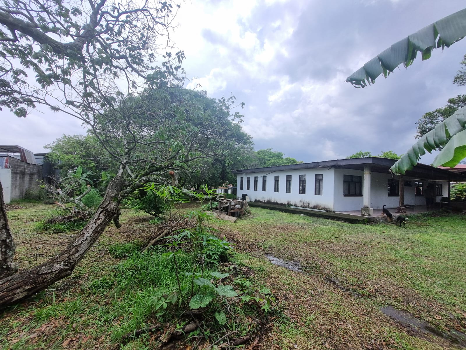 0 bed Land For Sale in San Rafael, San Jose - thumb 15