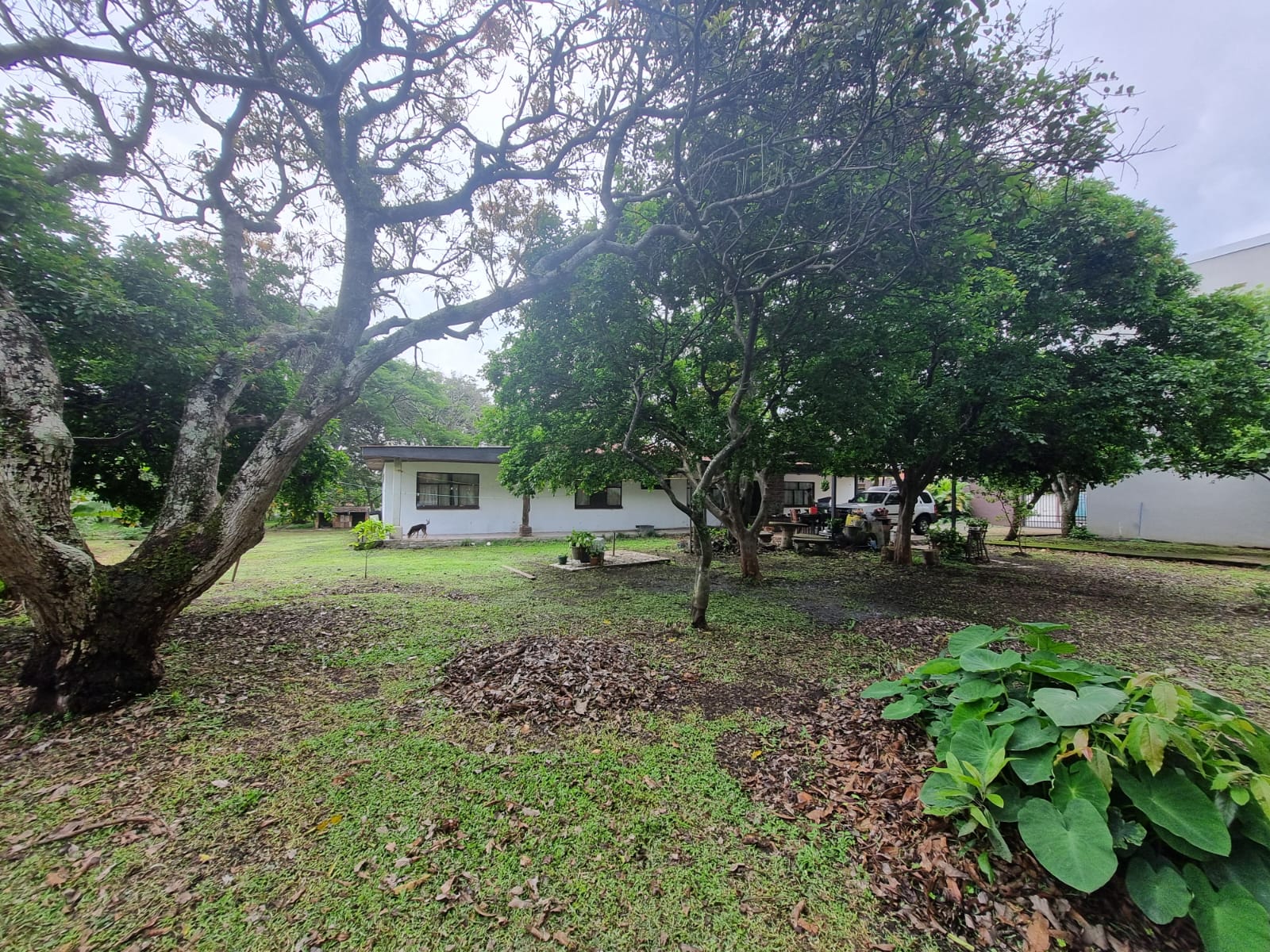 0 bed Land For Sale in San Rafael, San Jose - thumb 16