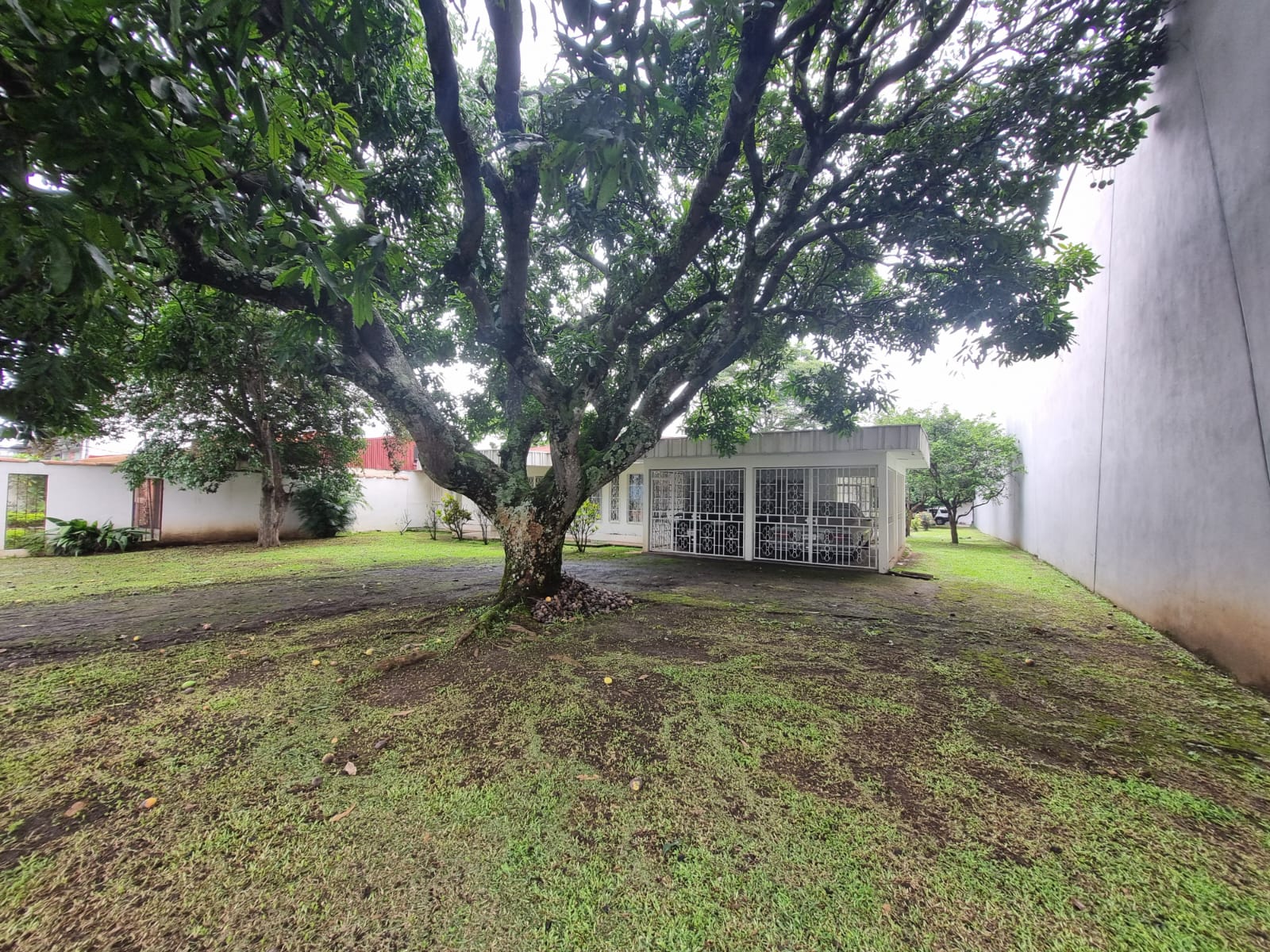 0 bed Land For Sale in San Rafael, San Jose - thumb 11