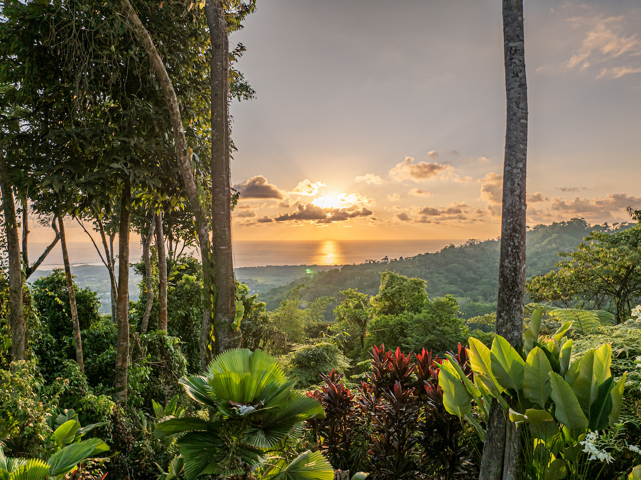 3 bed Single Family Homes For Sale in Uvita, Puntarenas - thumb 2