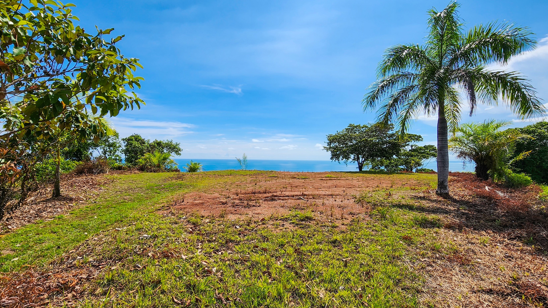 0 bed Land For Sale in Dominical, Puntarenas - thumb 1