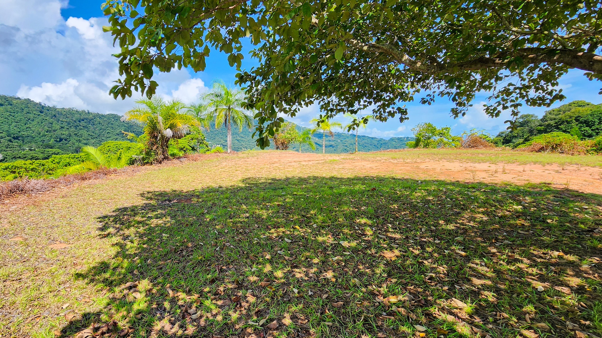 0 bed Land For Sale in Dominical, Puntarenas - thumb 5