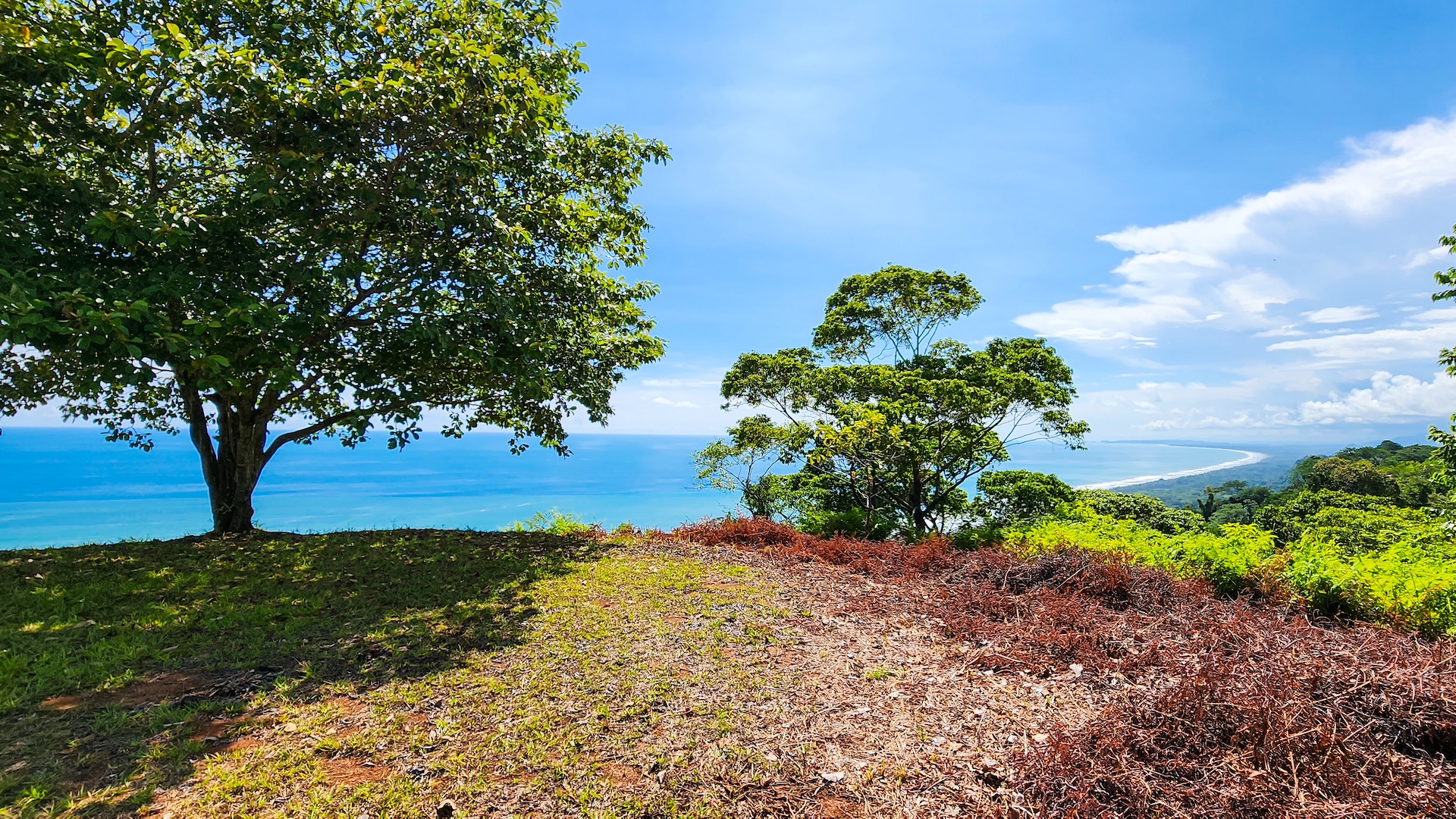 0 bed Land For Sale in Dominical, Puntarenas - thumb 2