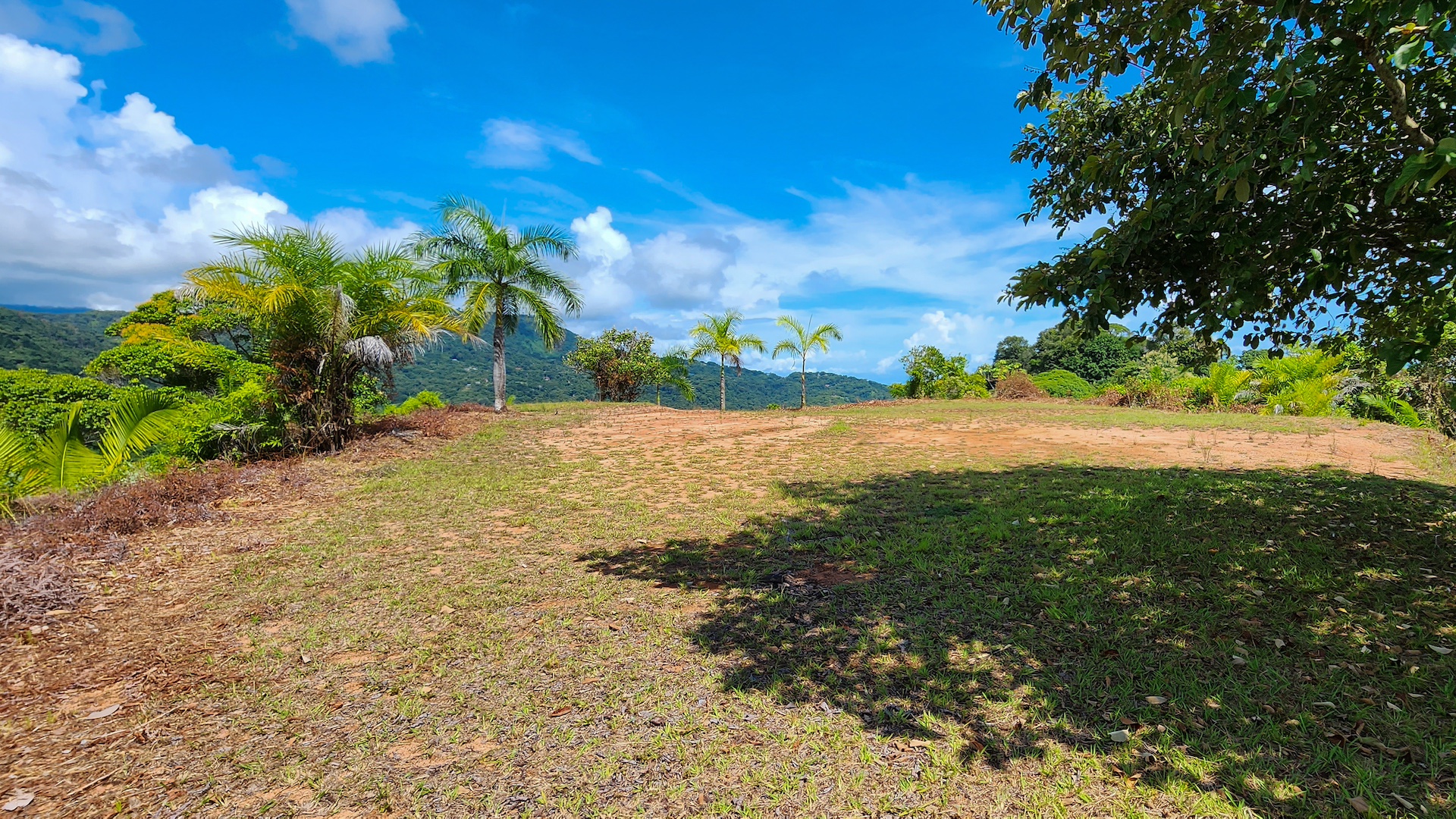 0 bed Land For Sale in Dominical, Puntarenas - thumb 3