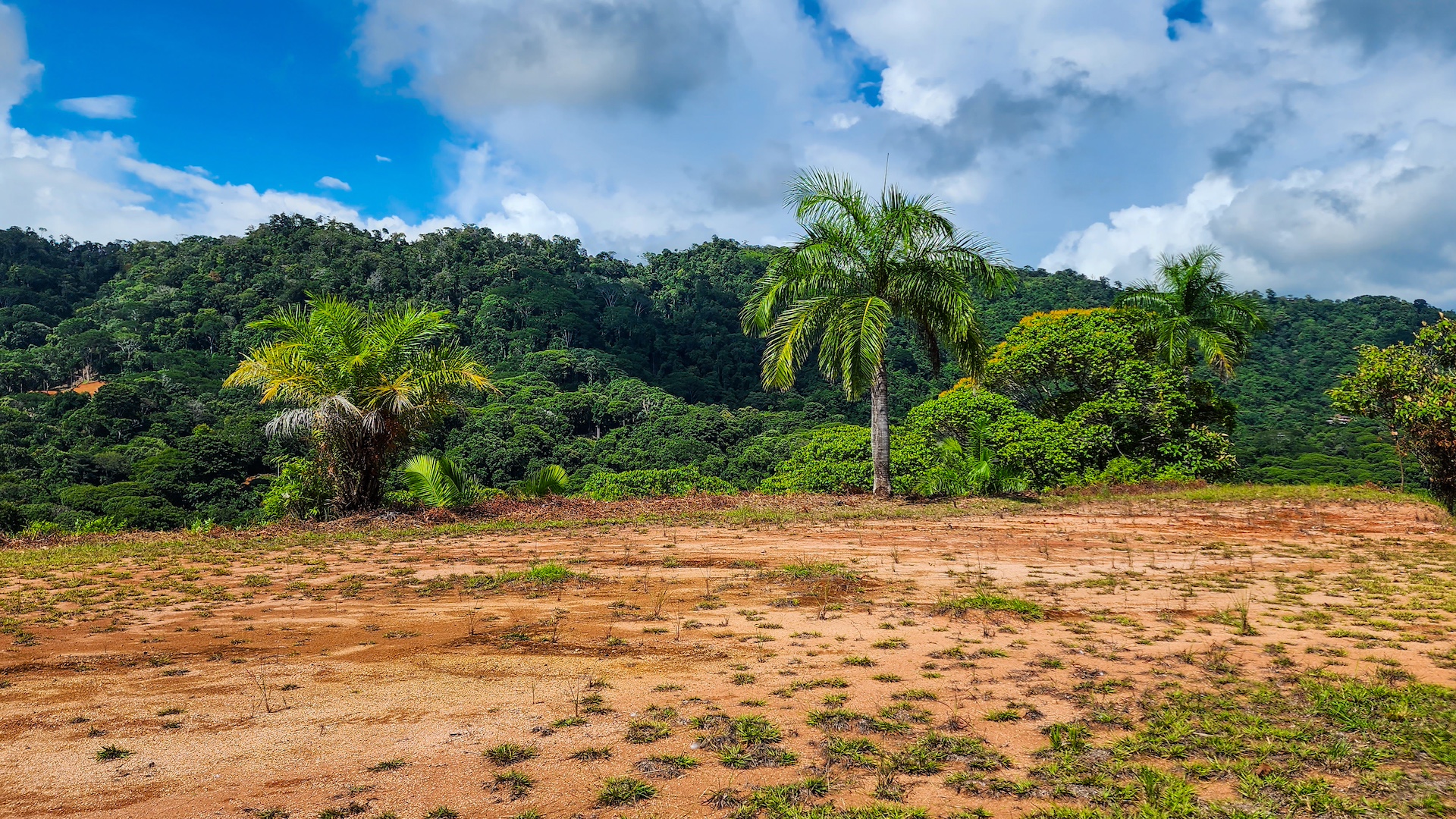 0 bed Land For Sale in Dominical, Puntarenas - thumb 7