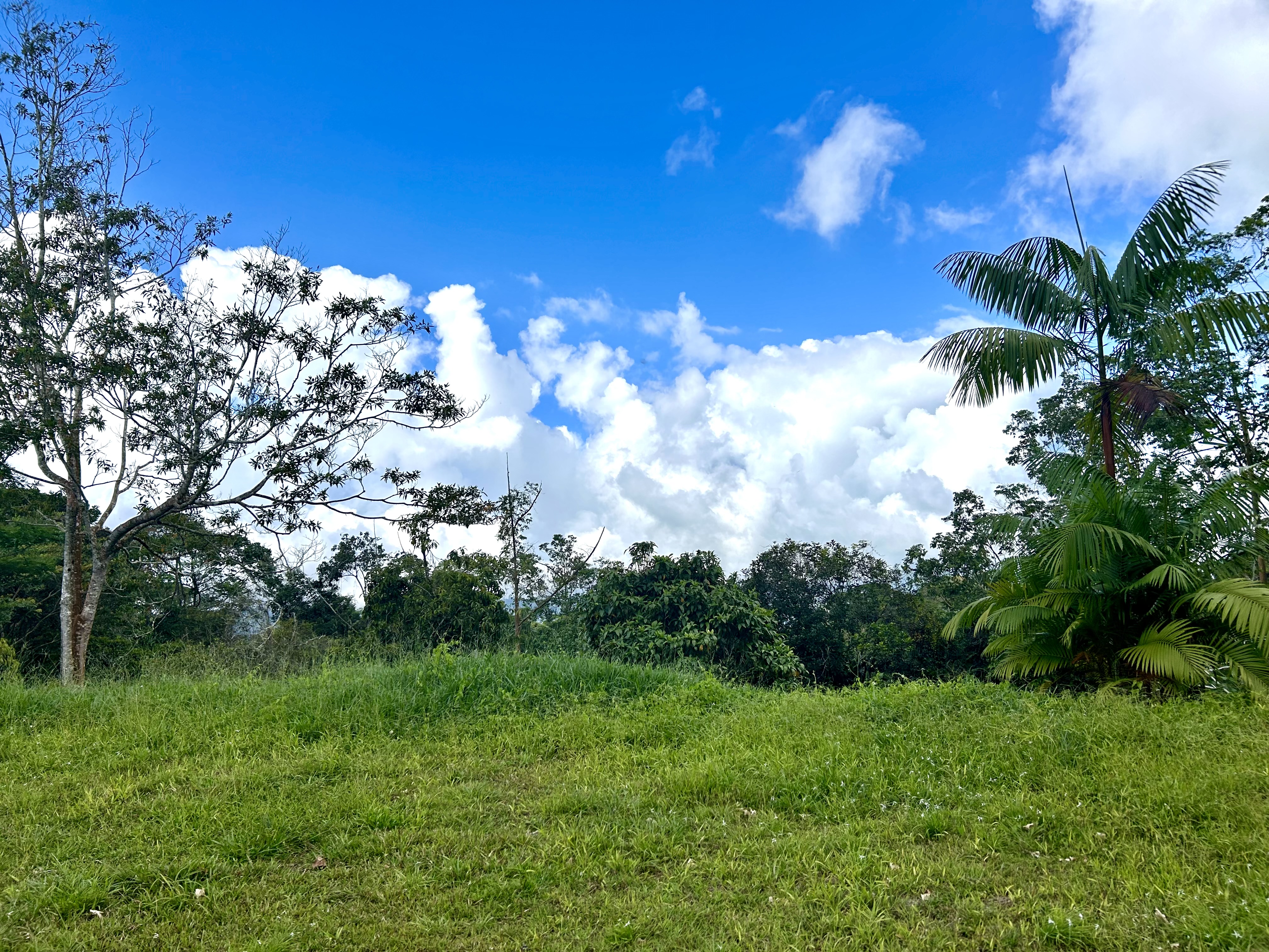 0 bed Land For Sale in Uvita, Puntarenas - thumb 1