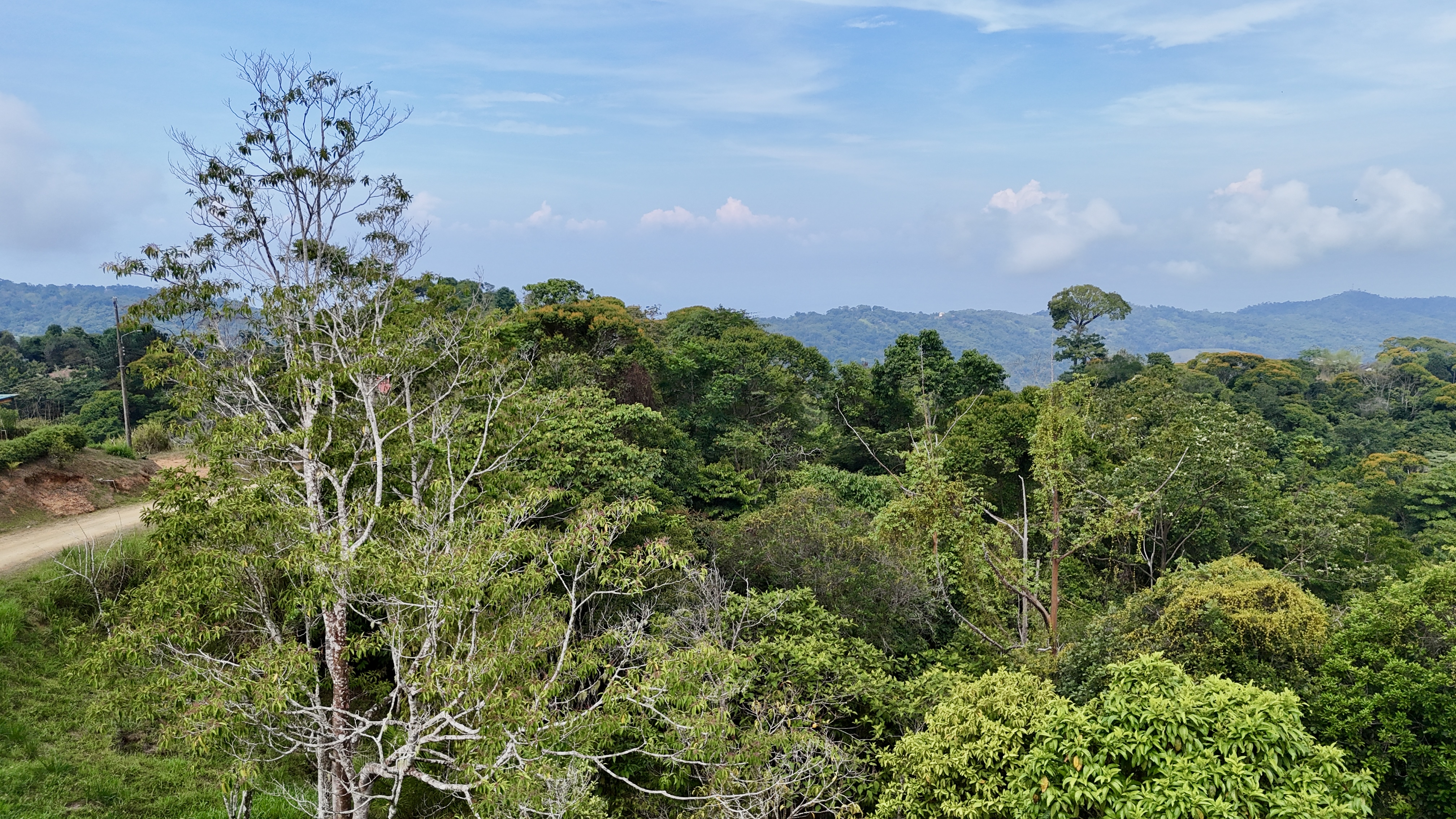 0 bed Land For Sale in Uvita, Puntarenas - thumb 20