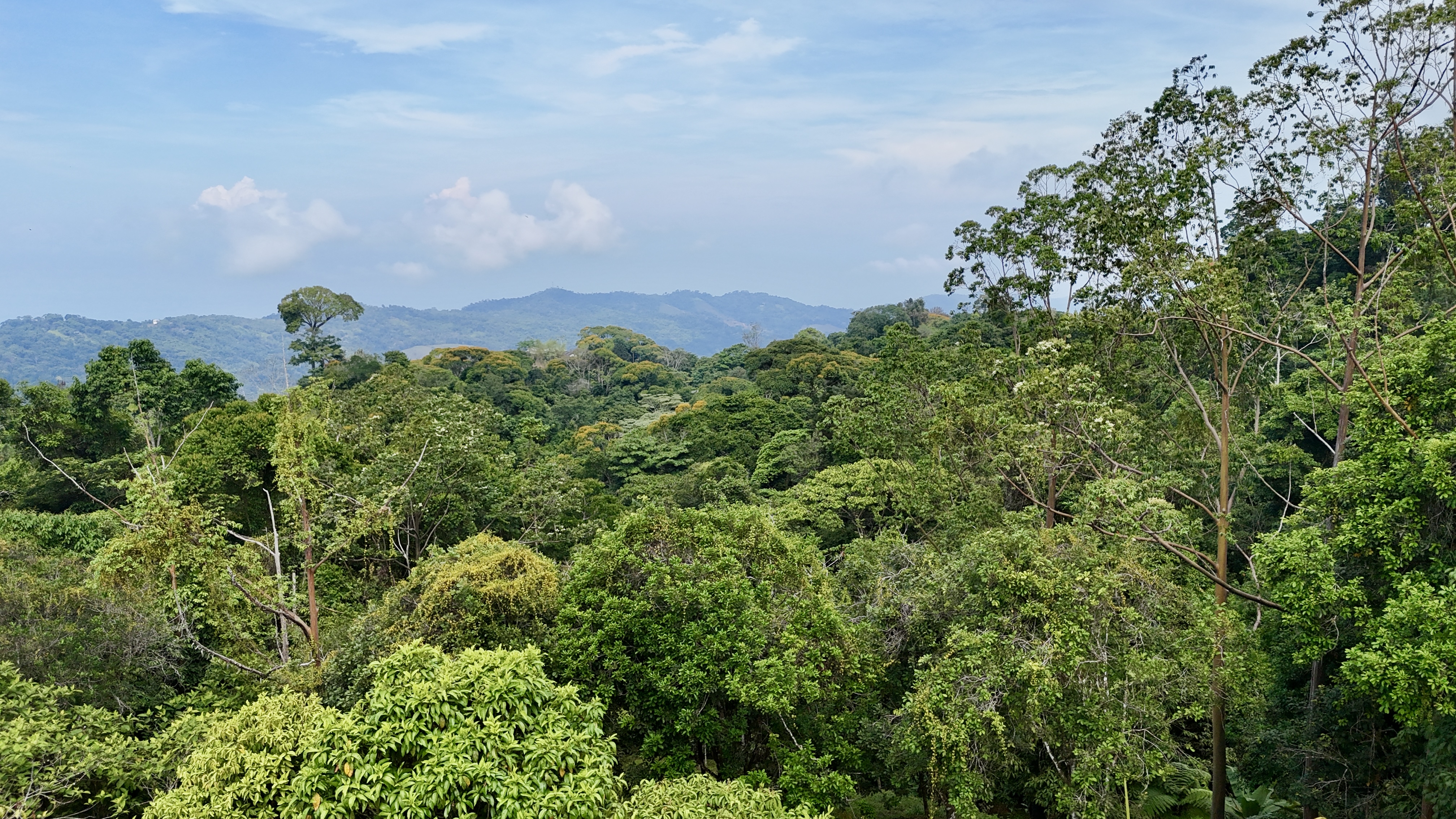 0 bed Land For Sale in Uvita, Puntarenas - thumb 19