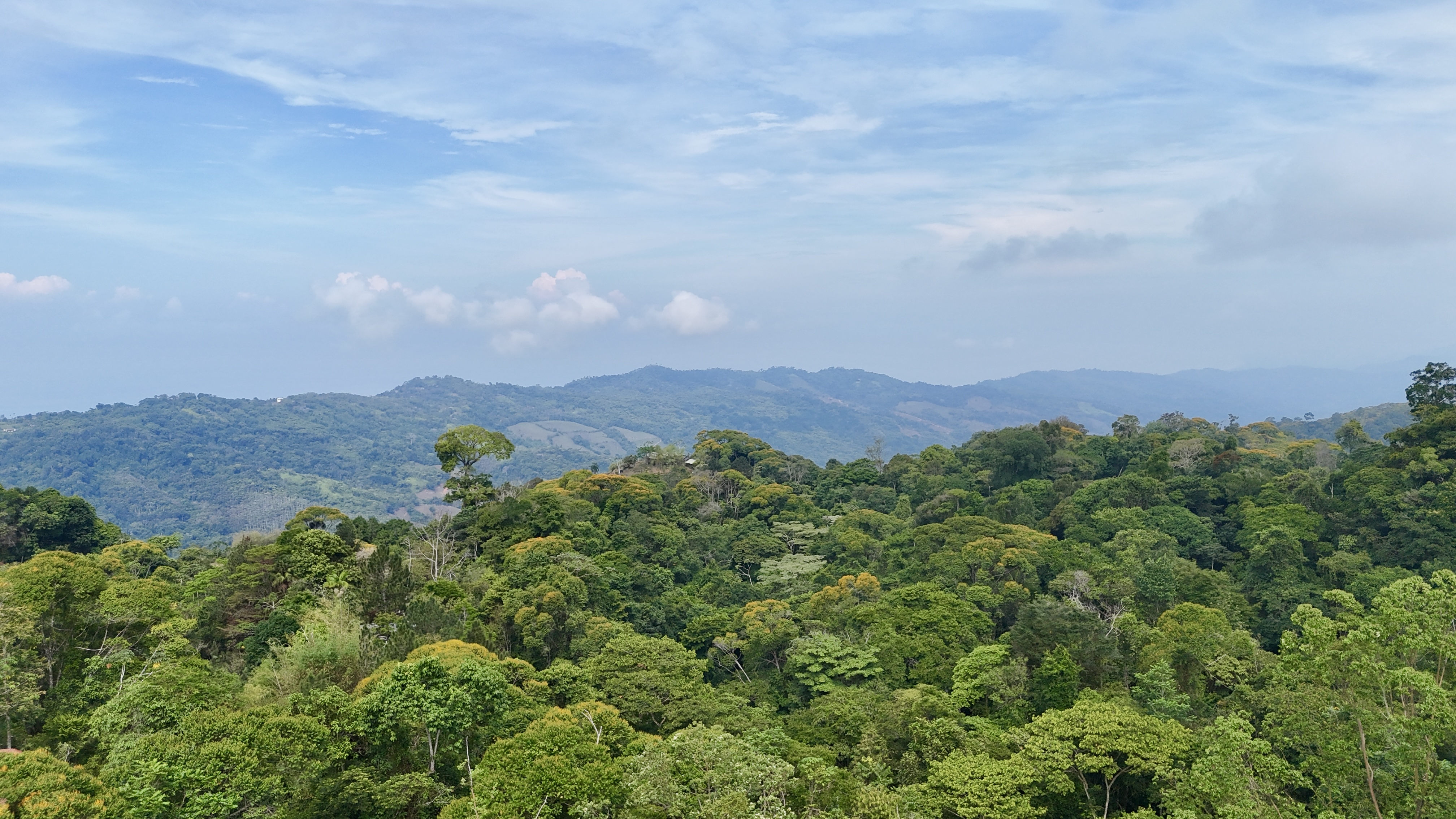 0 bed Land For Sale in Uvita, Puntarenas - thumb 13