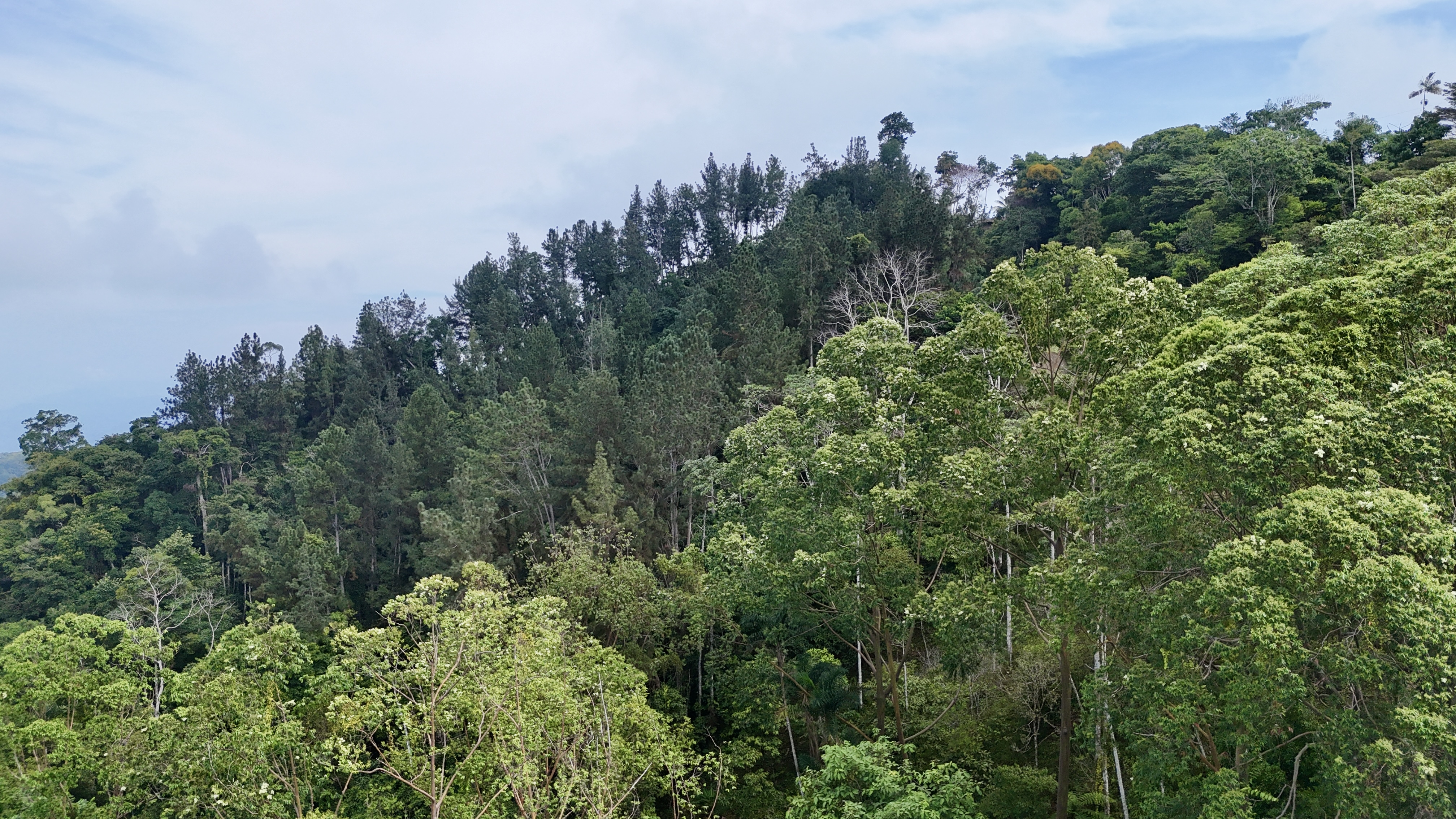 0 bed Land For Sale in Uvita, Puntarenas - thumb 14