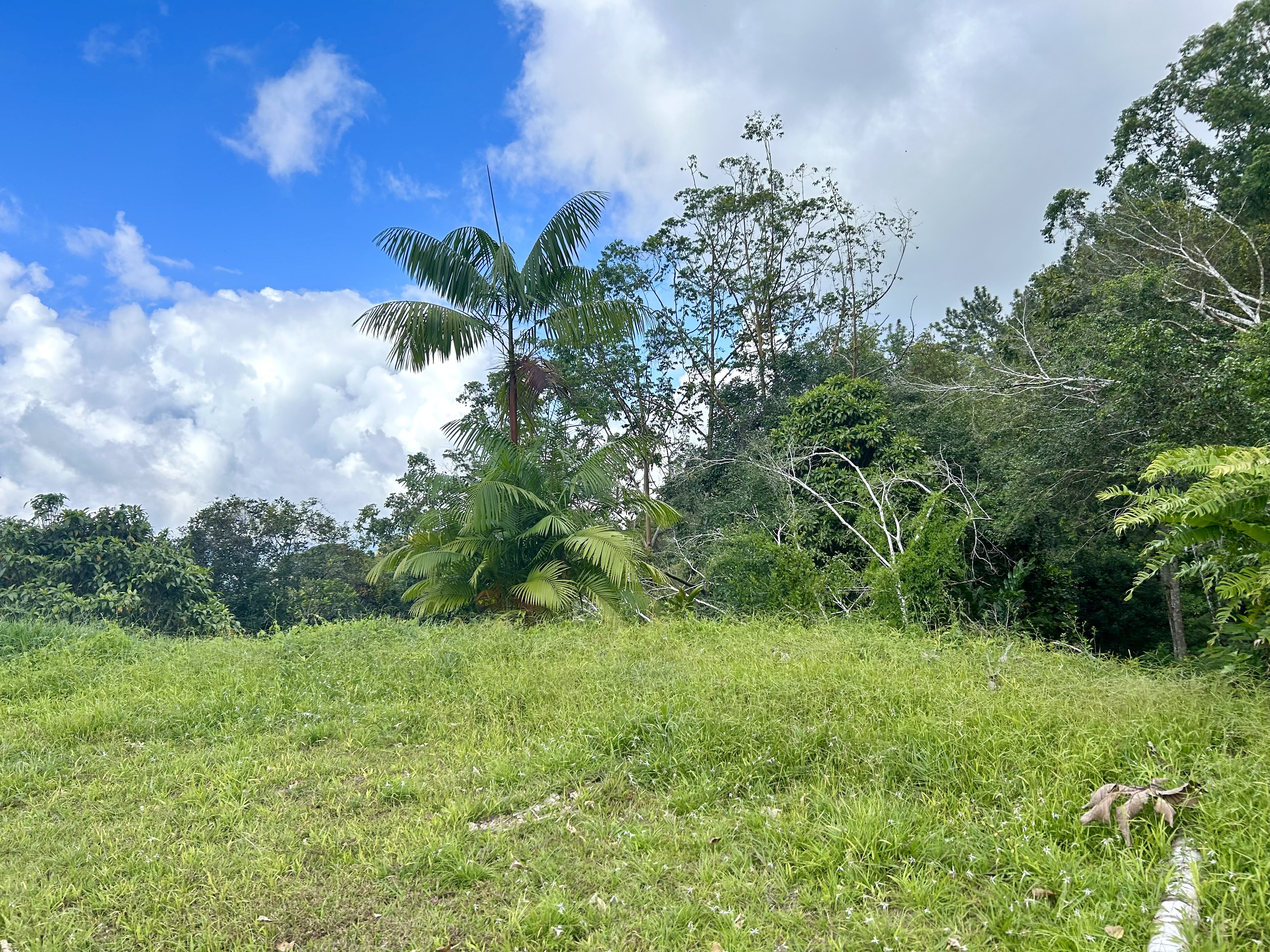 0 bed Land For Sale in Uvita, Puntarenas - thumb 4
