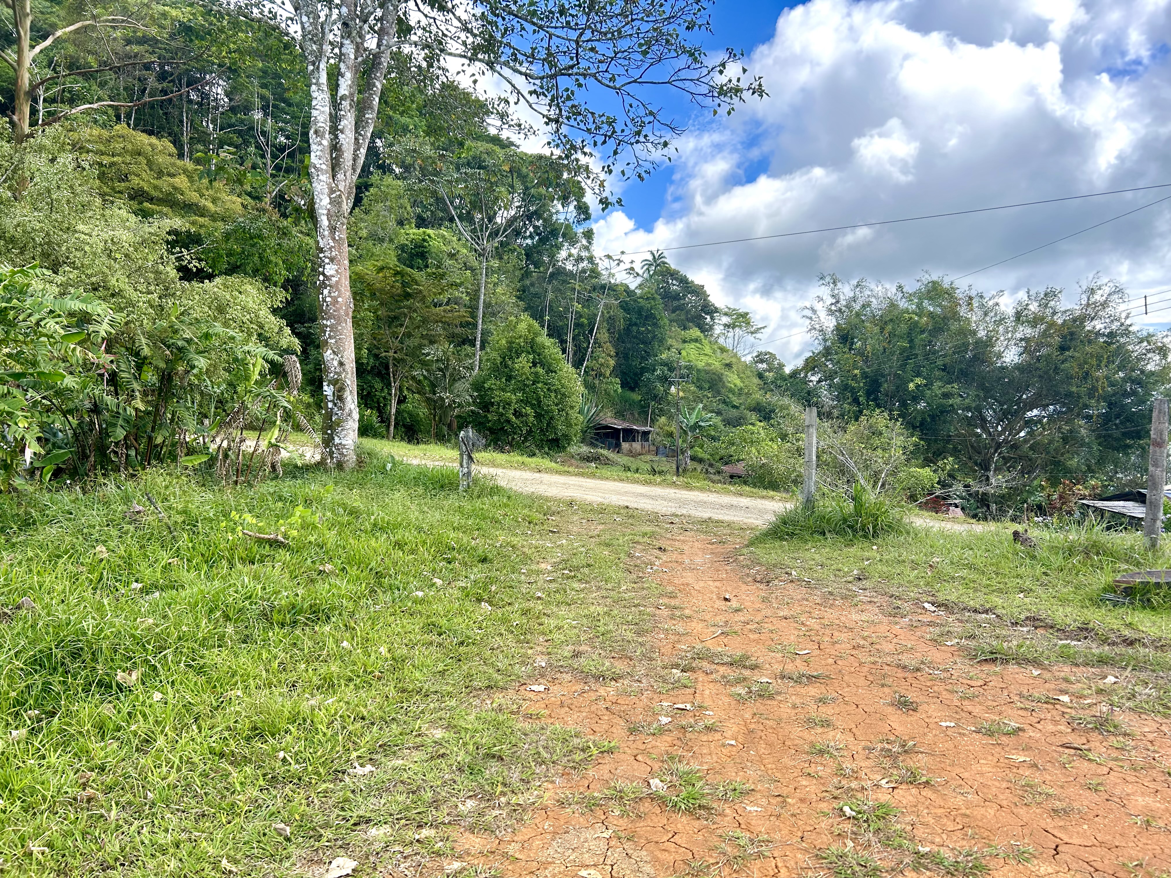 0 bed Land For Sale in Uvita, Puntarenas - thumb 8