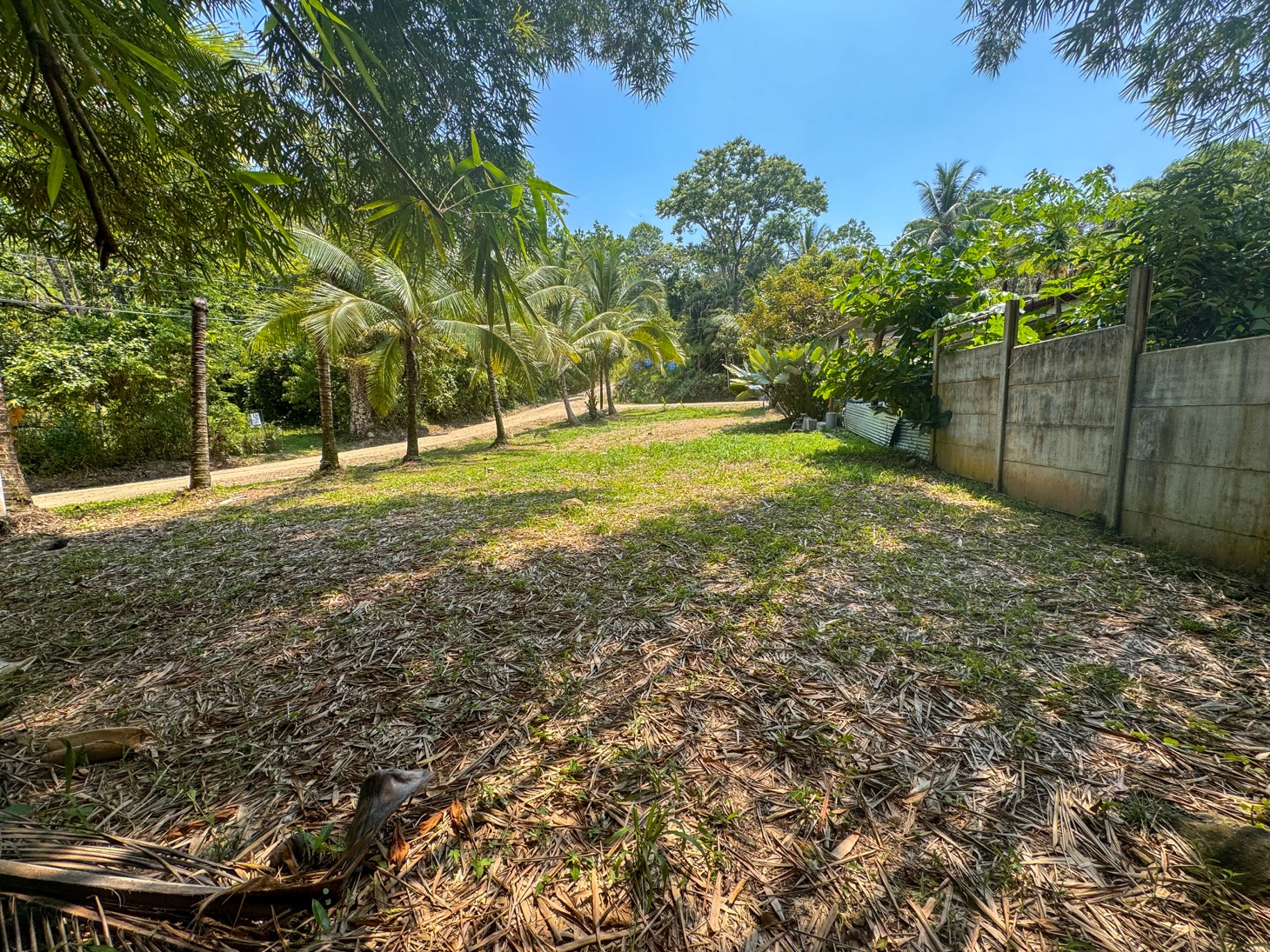 0 bed Land For Sale in Ojochal, Puntarenas - thumb 6