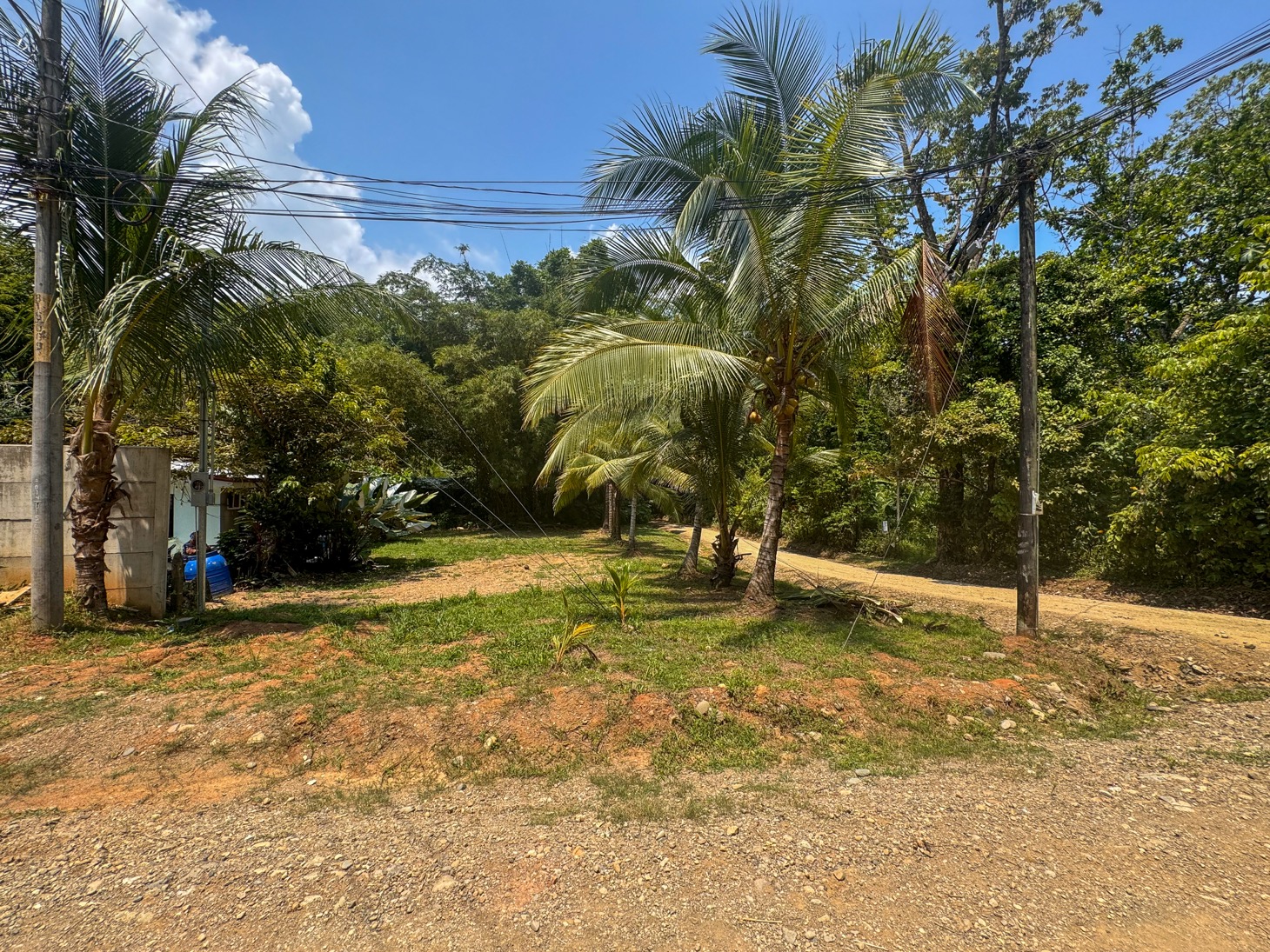 0 bed Land For Sale in Ojochal, Puntarenas - thumb 3