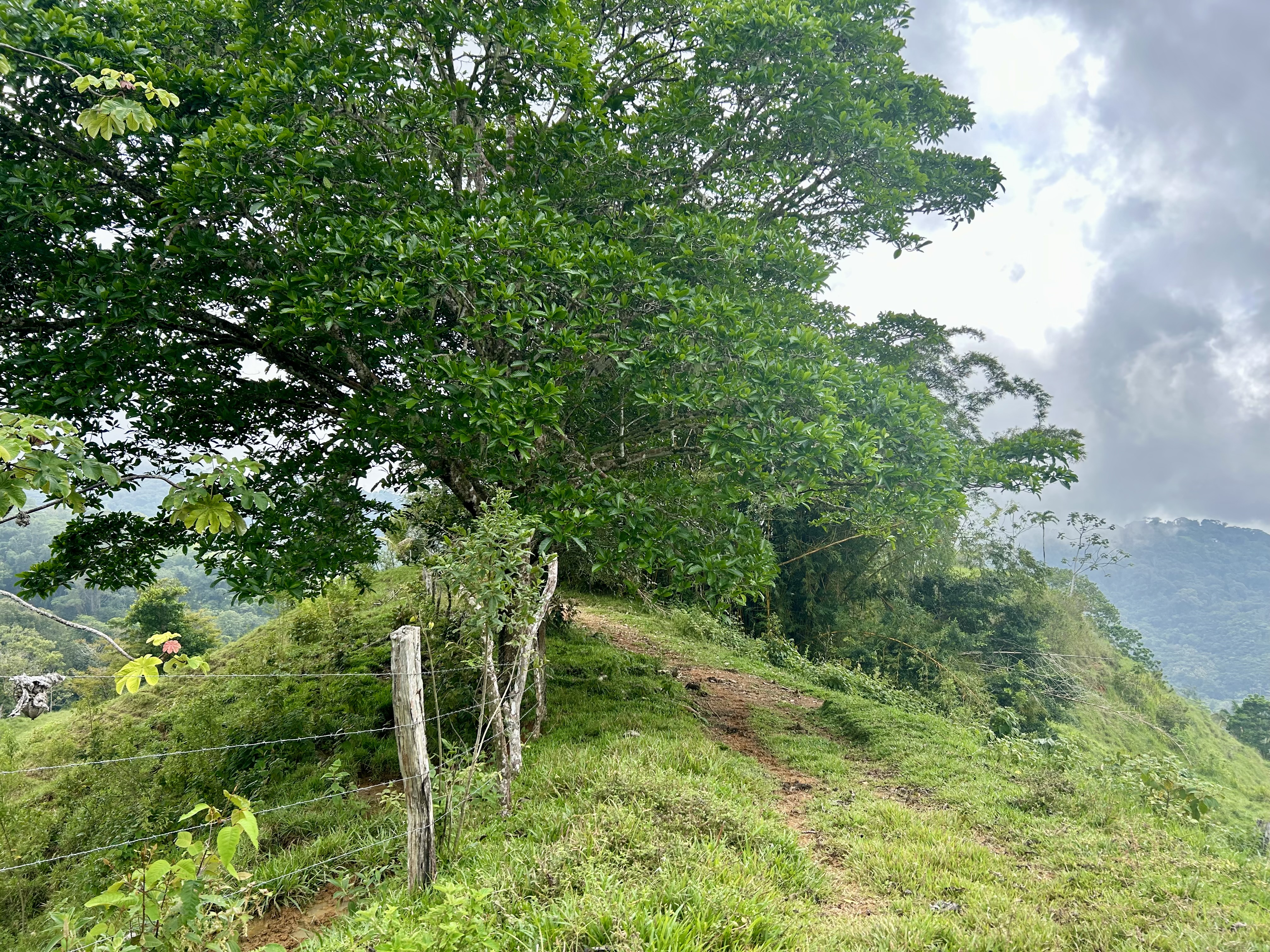 0 bed Land For Sale in Dominical, Puntarenas - thumb 11