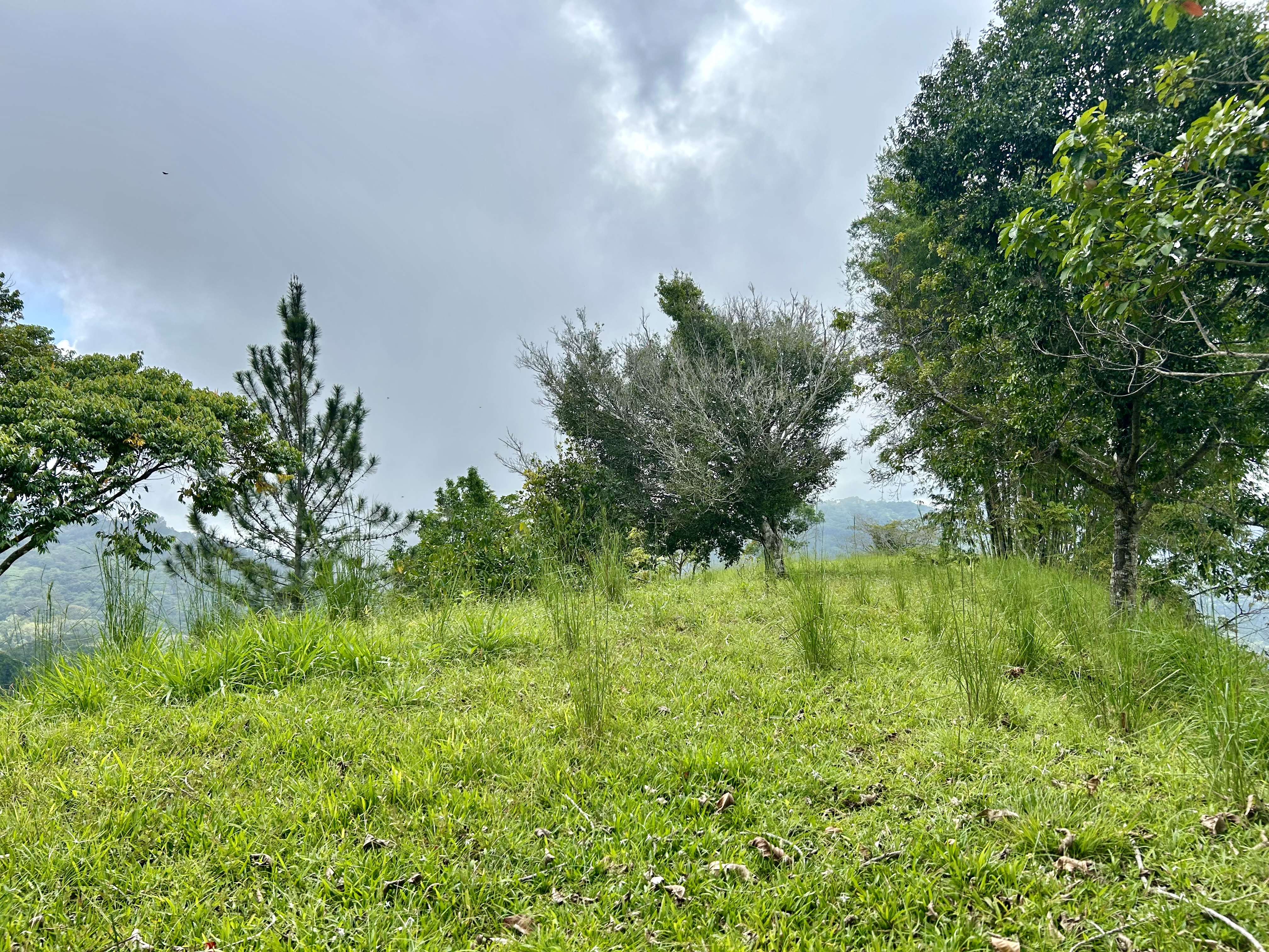 0 bed Land For Sale in Dominical, Puntarenas - thumb 9