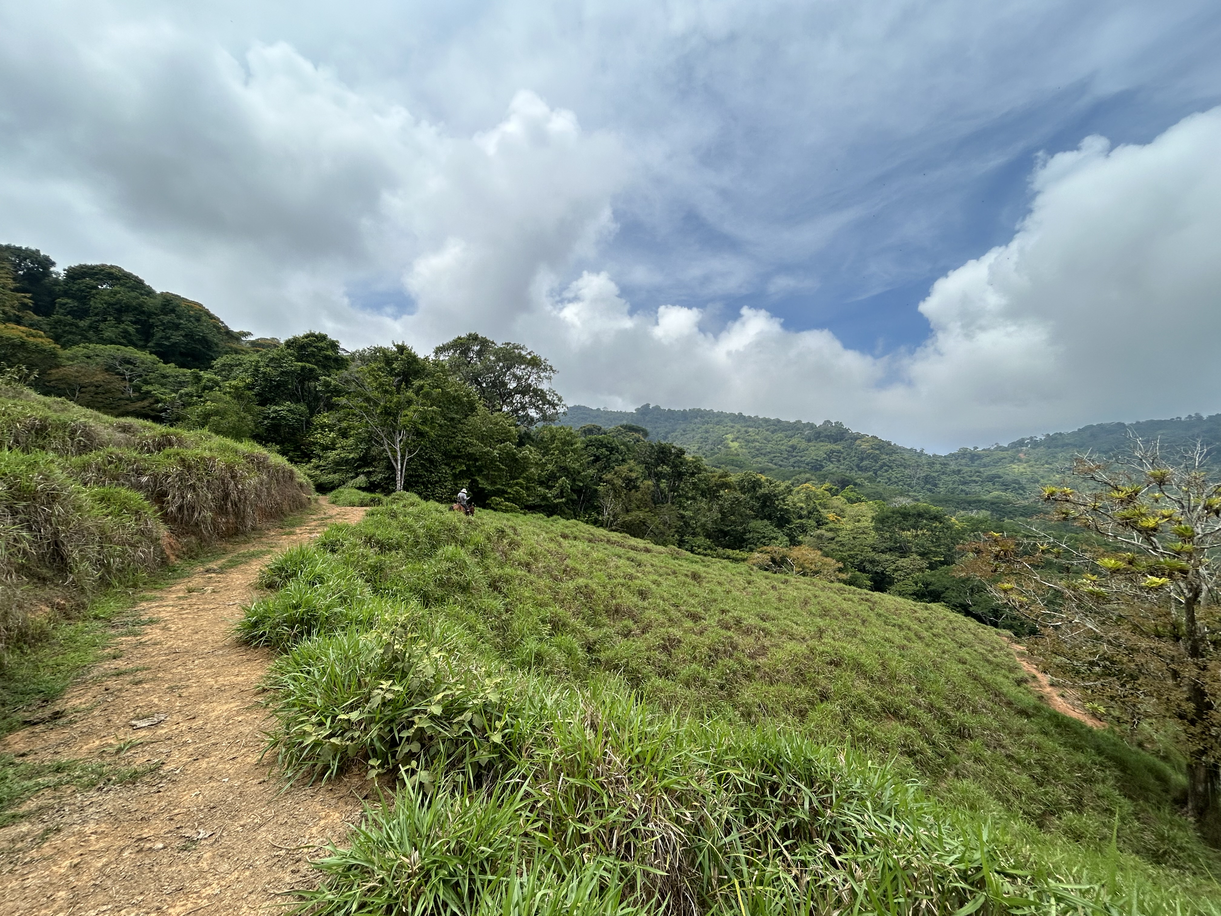 0 bed Land For Sale in Dominical, Puntarenas - thumb 19